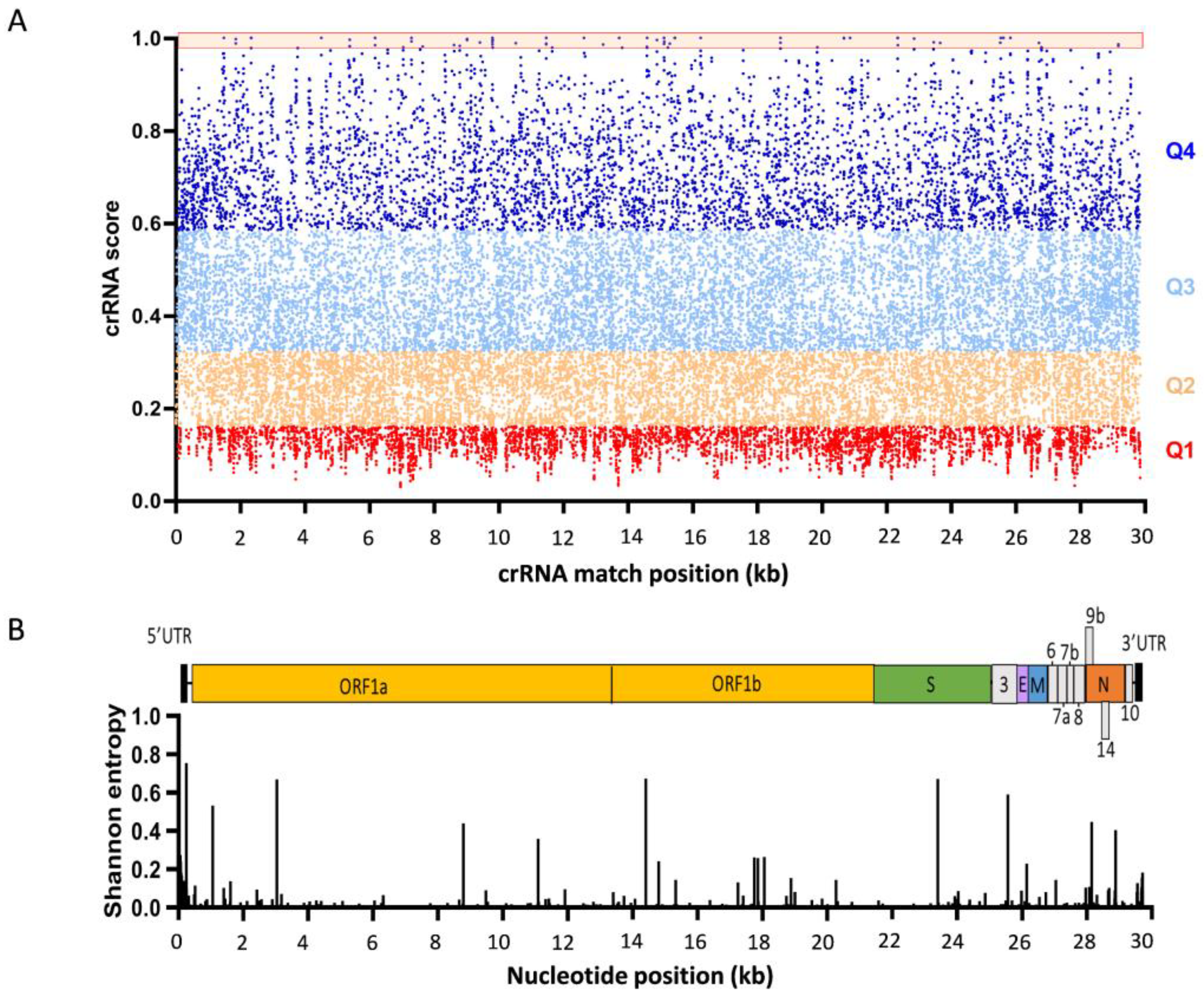 Viruses 14 00385 g004 Viruses 14 00385 g004