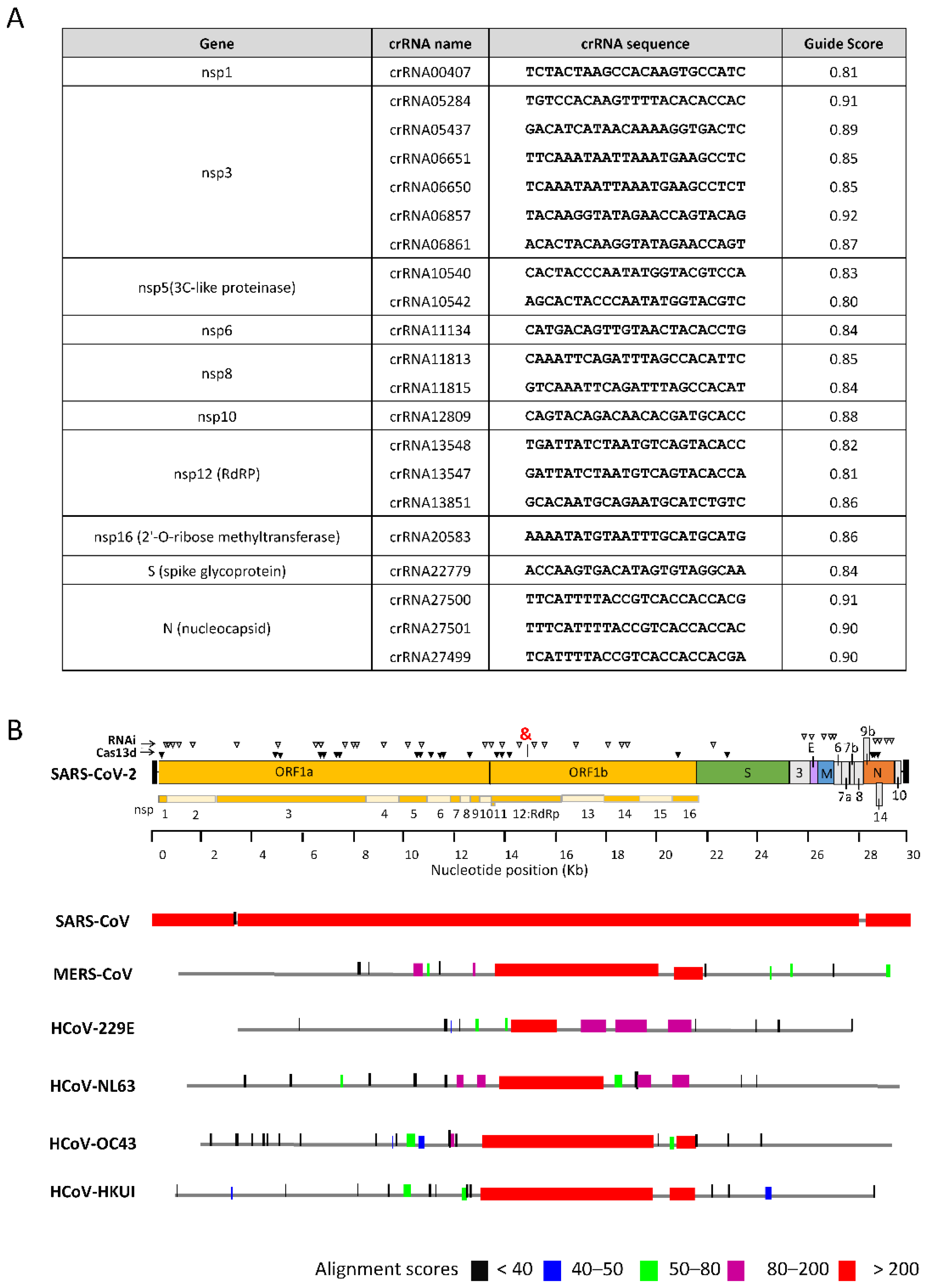 Viruses 14 00385 g005 Viruses 14 00385 g005
