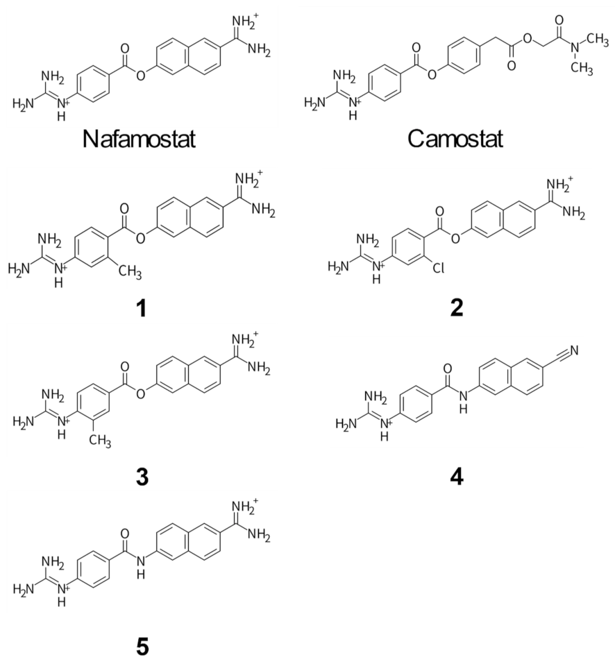Viruses 14 00389 g001