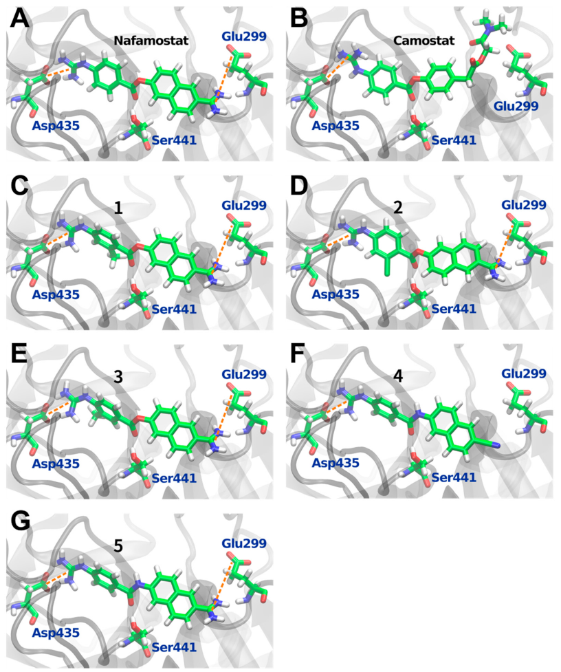 Viruses 14 00389 g002