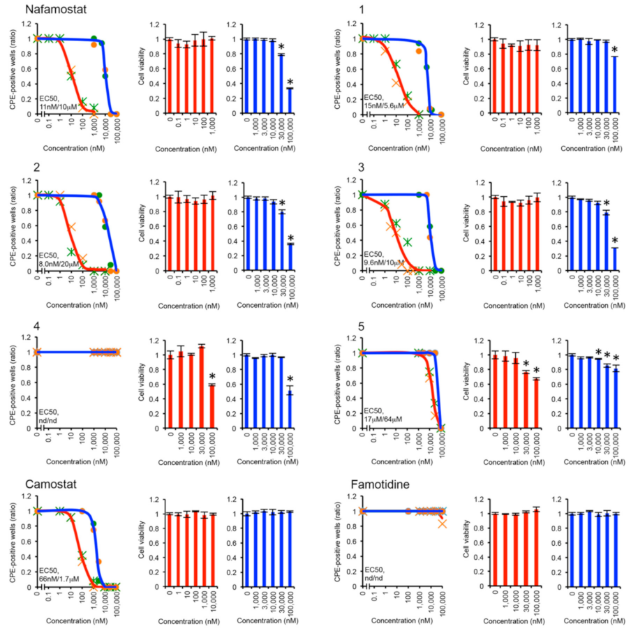 Viruses 14 00389 g004