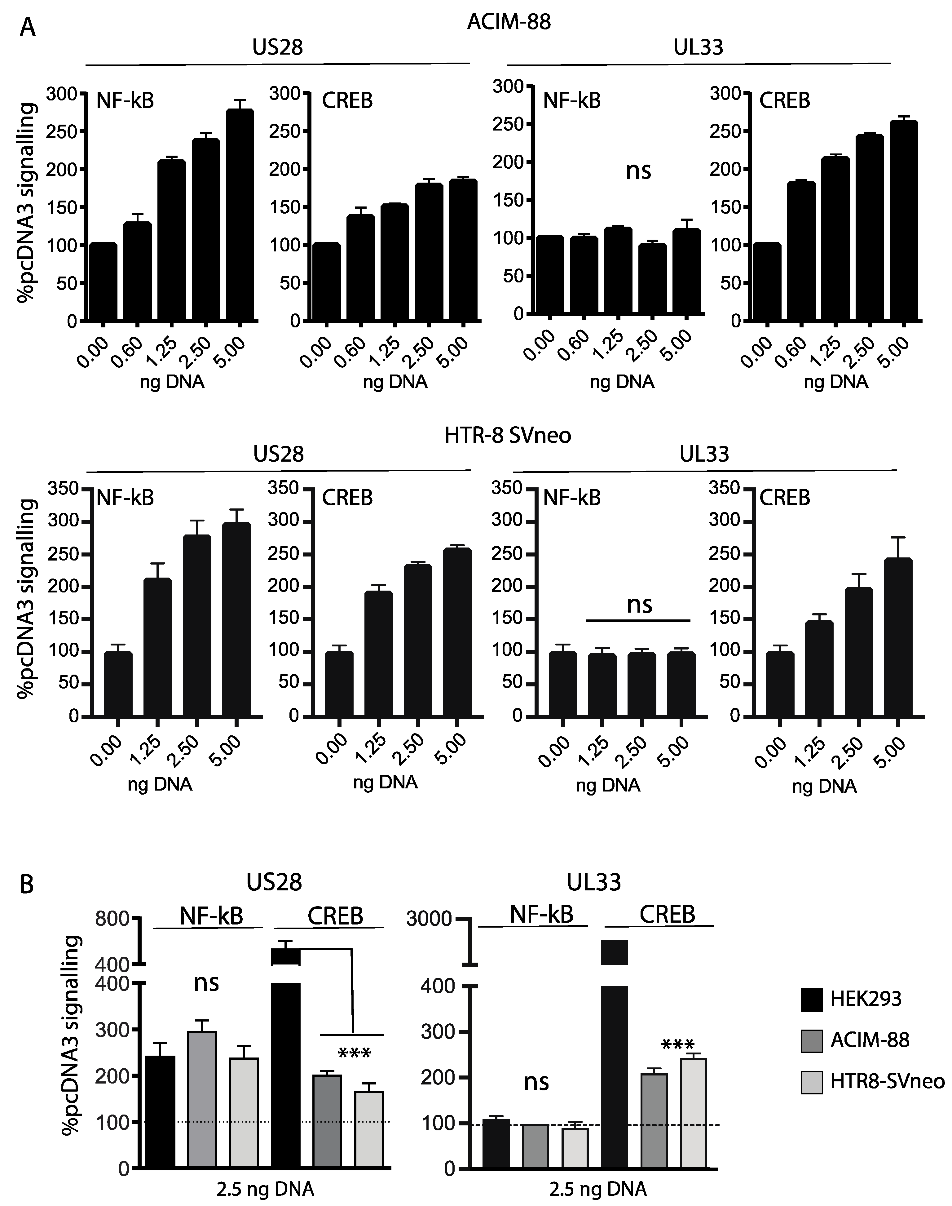 Viruses 14 00391 g002