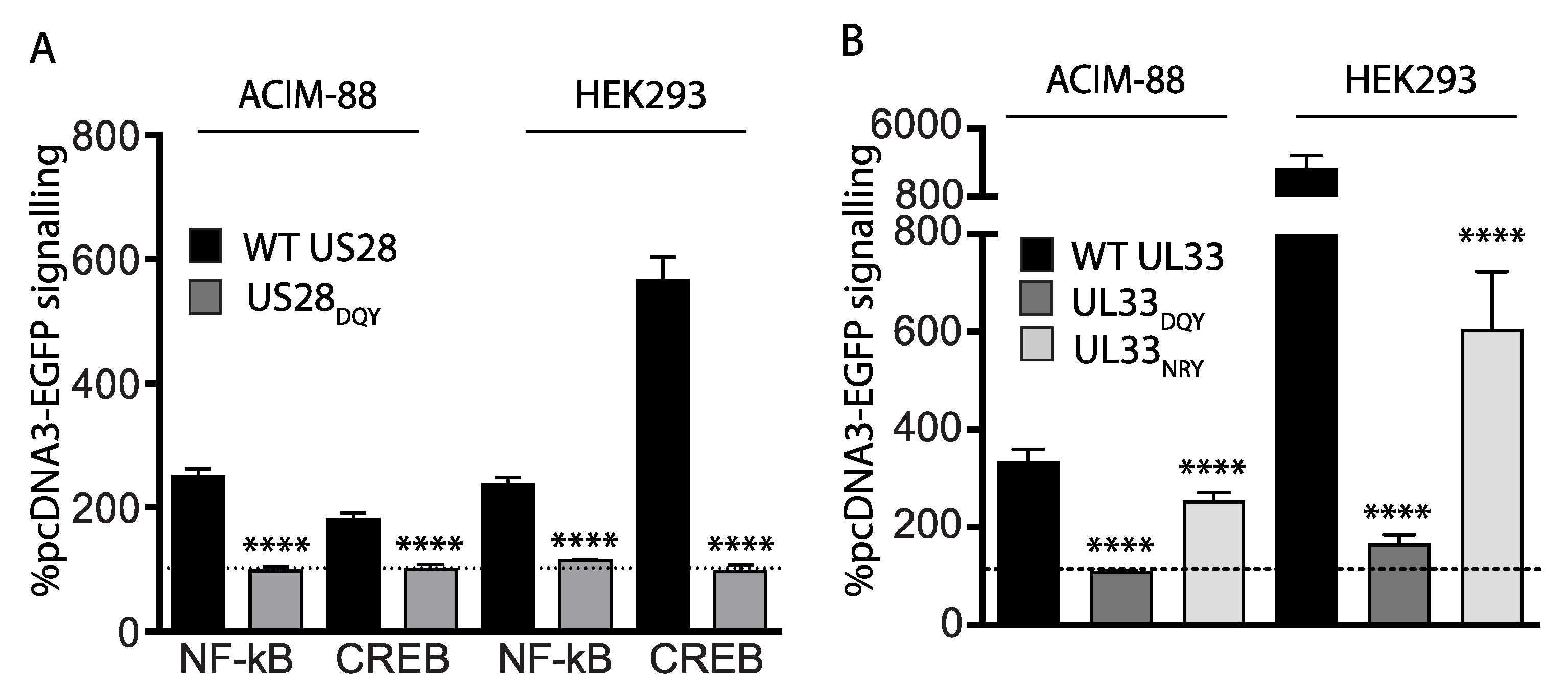 Viruses 14 00391 g004