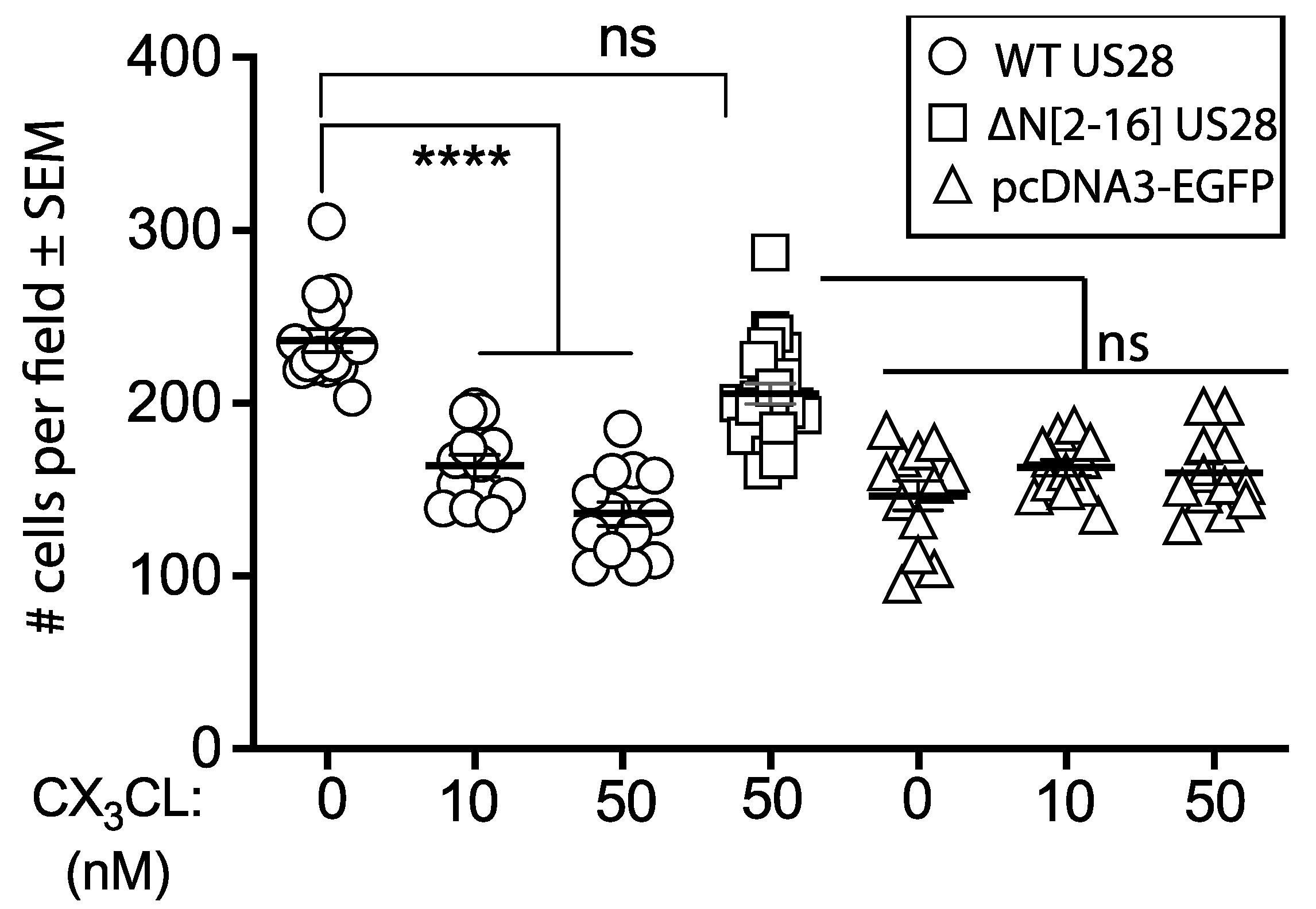 Viruses 14 00391 g007