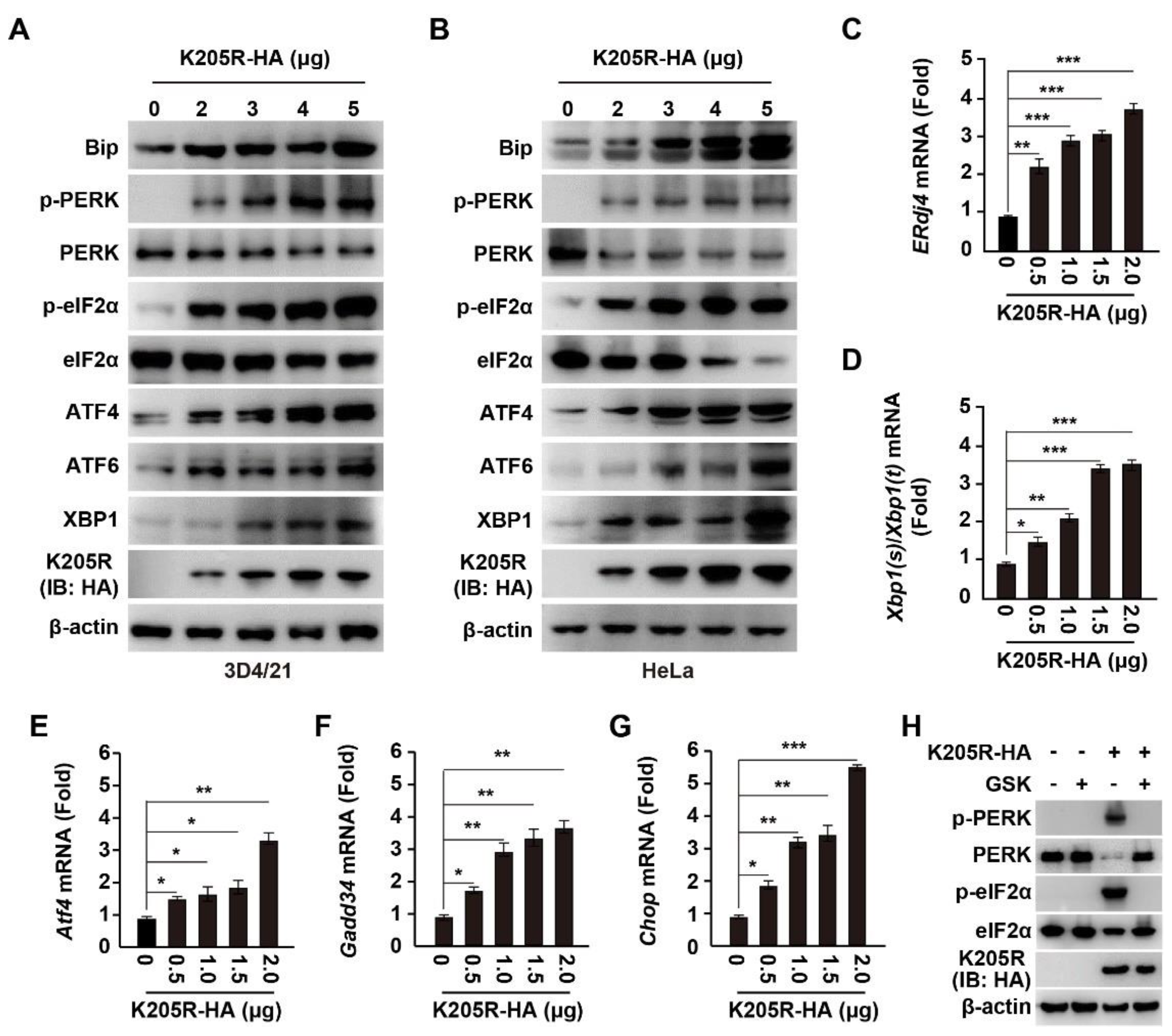 Viruses 14 00394 g003