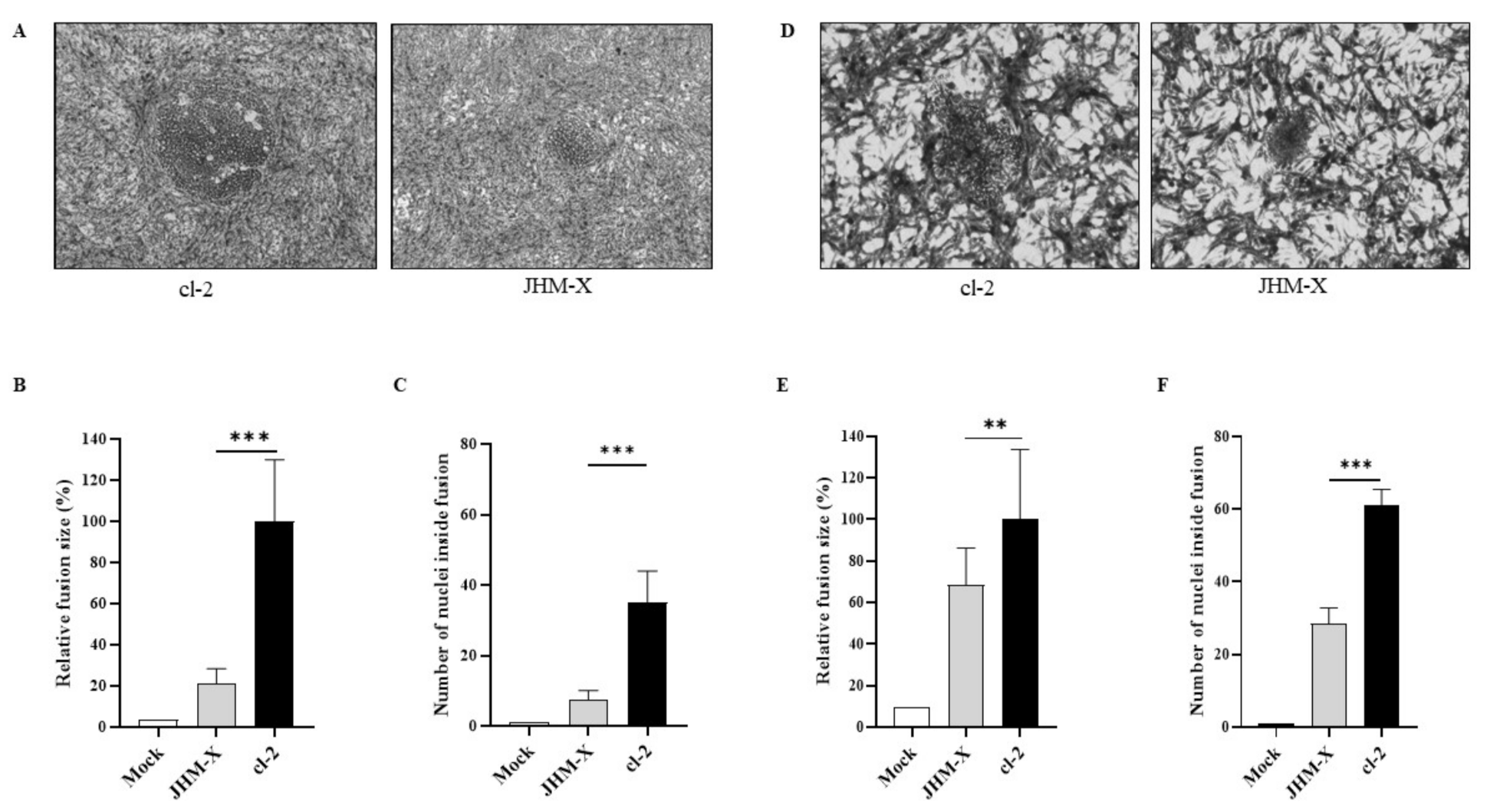 Viruses 14 00398 g002