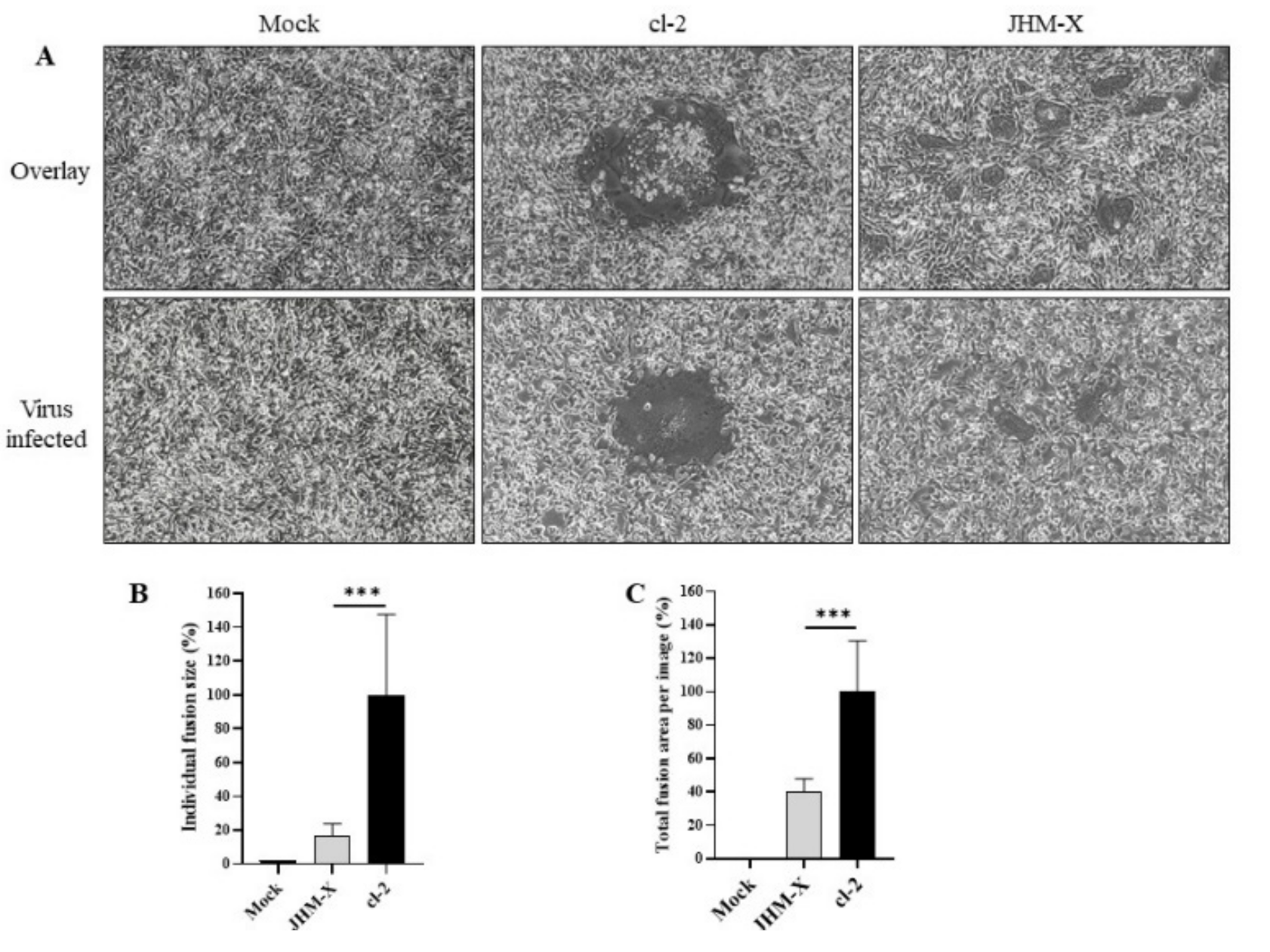 Viruses 14 00398 g006