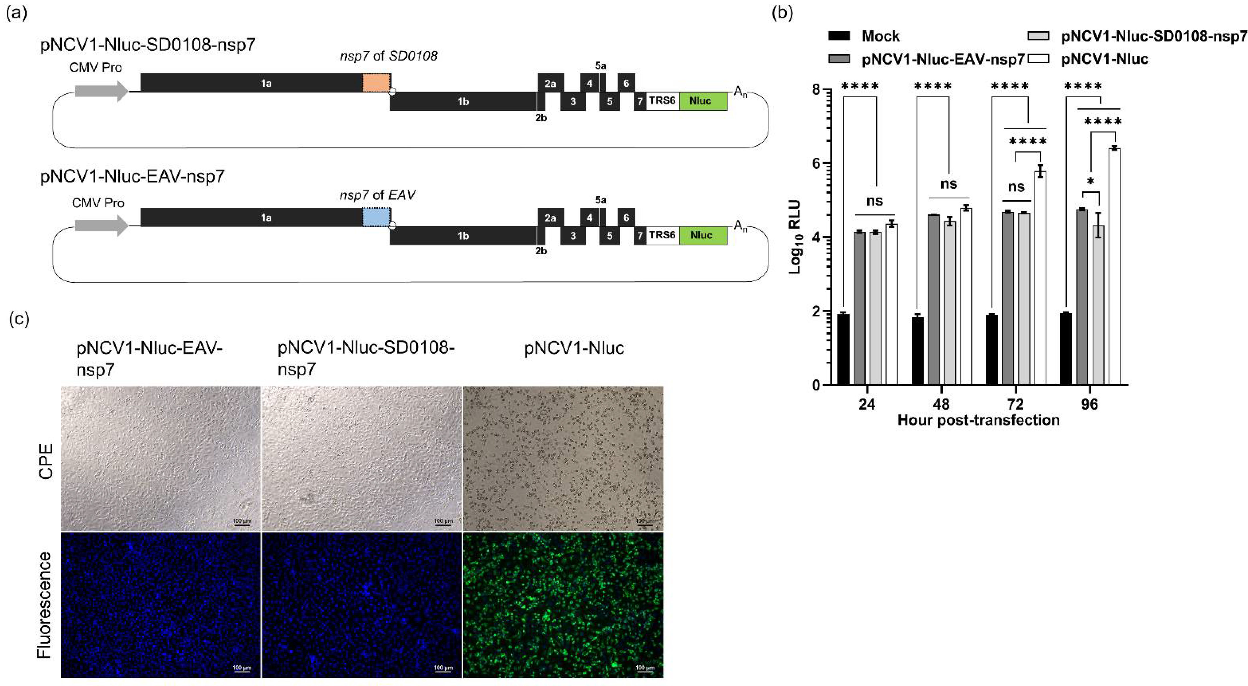 Viruses 14 00400 g002
