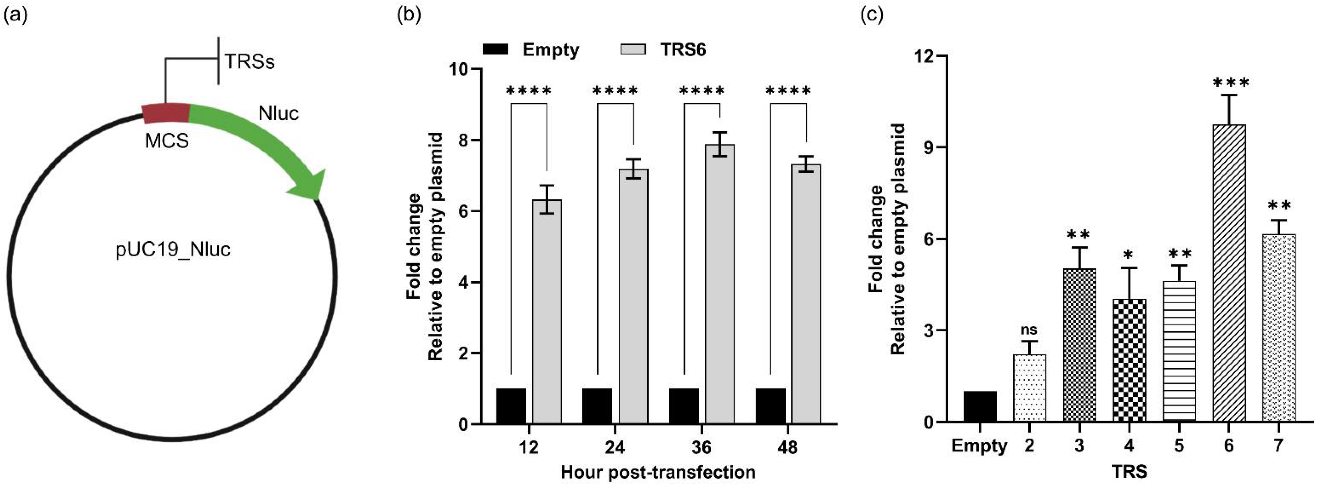 Viruses 14 00400 g004