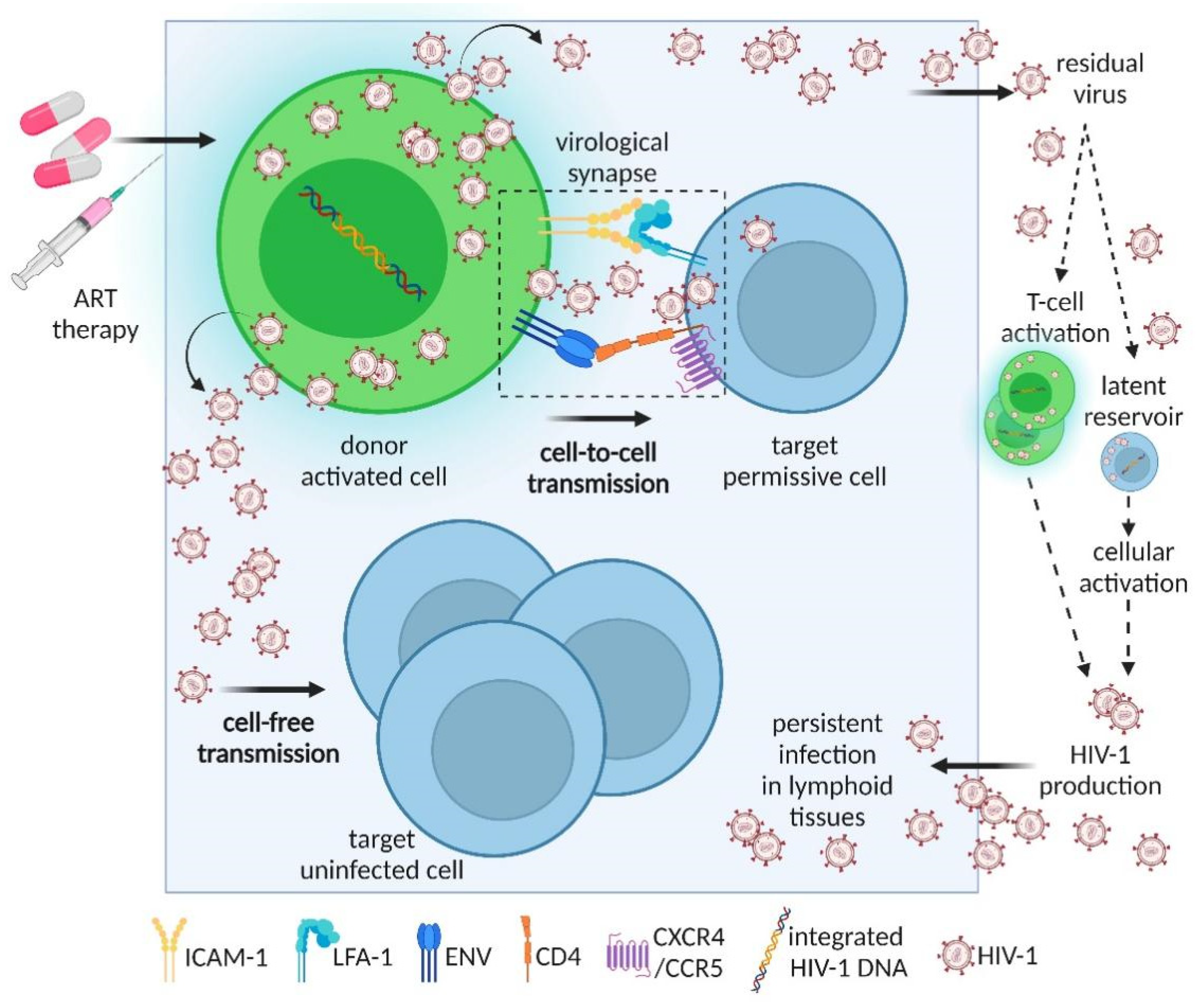 Viruses 14 00404 g001