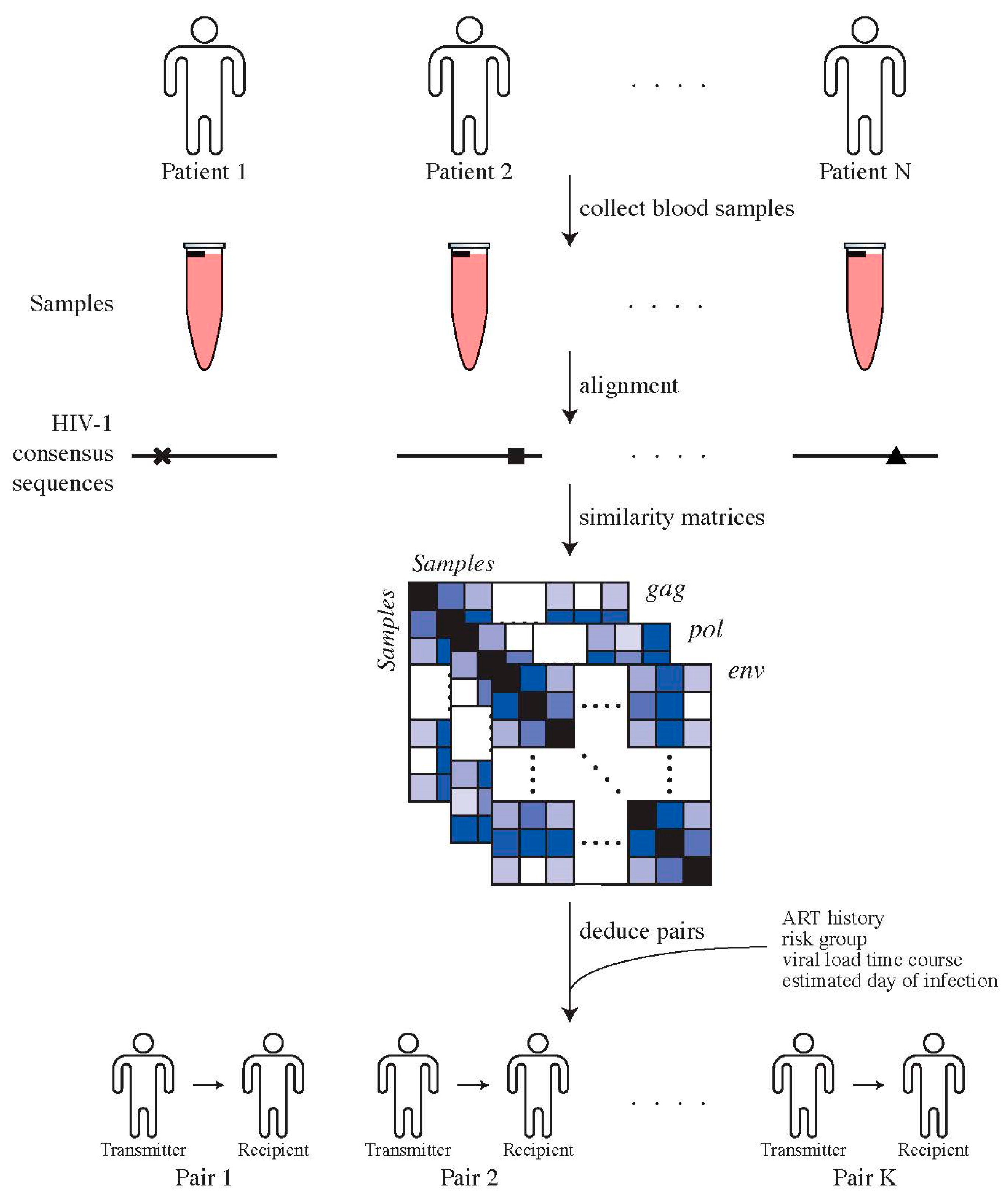 Viruses 14 00406 g001