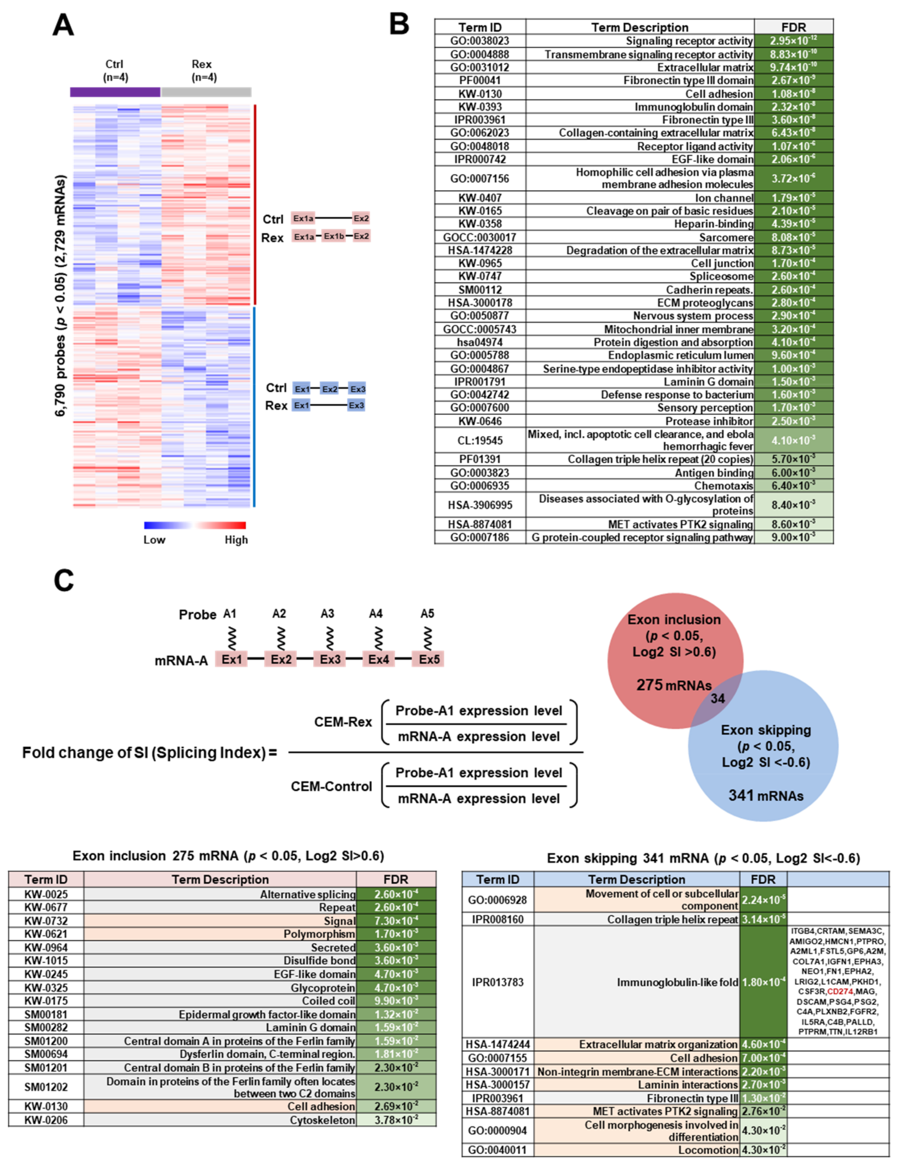 Viruses 14 00407 g002