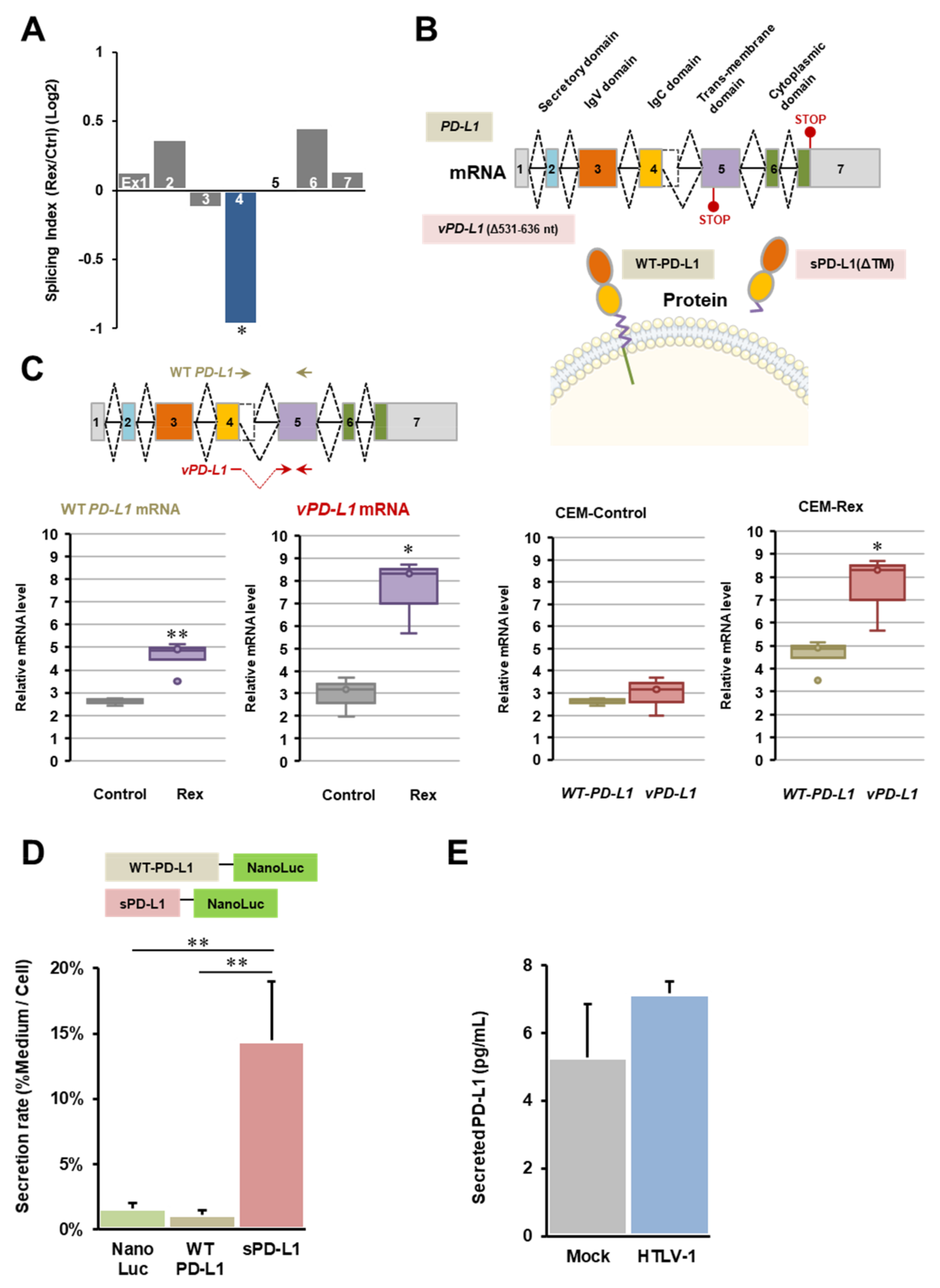 Viruses 14 00407 g003