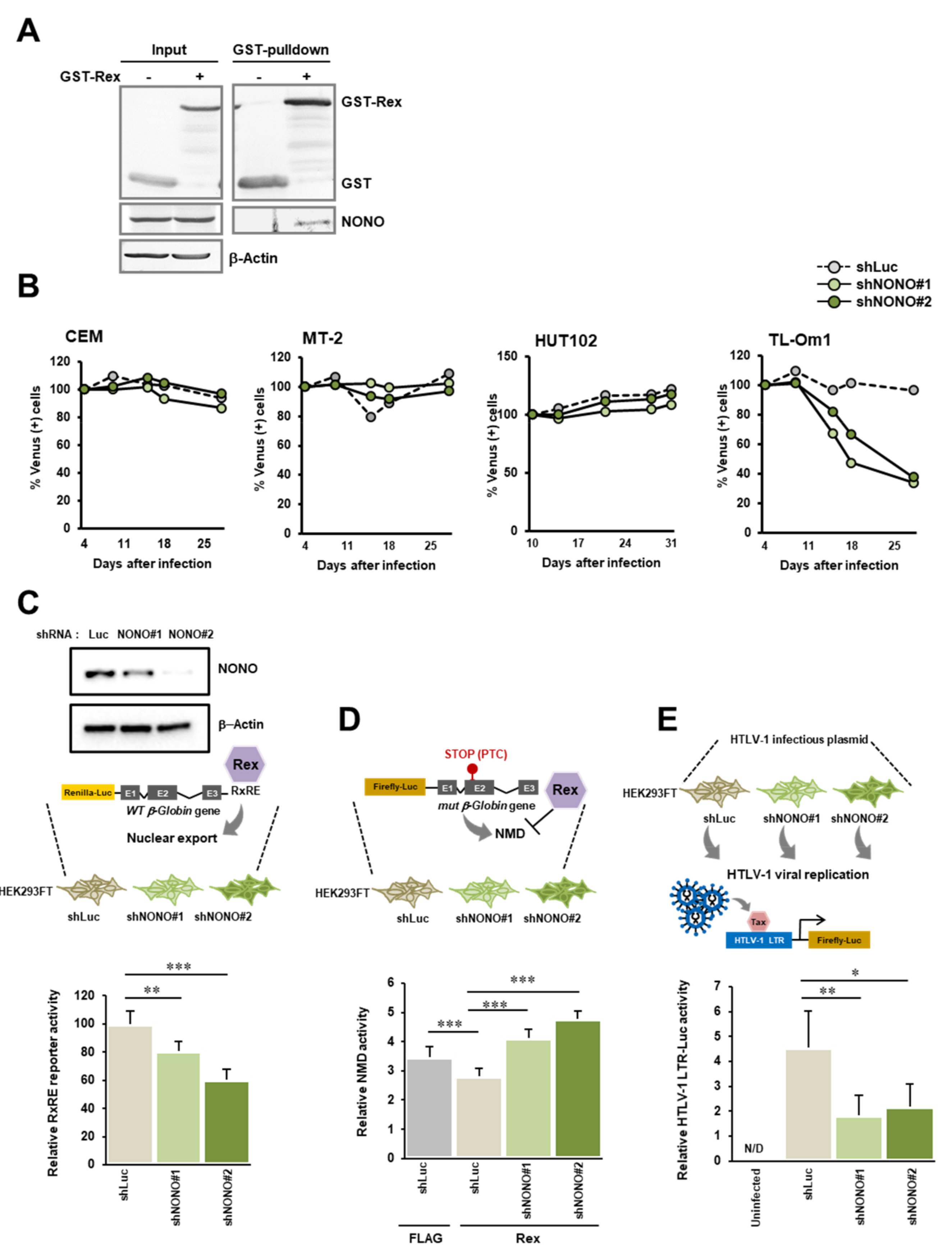 Viruses 14 00407 g005