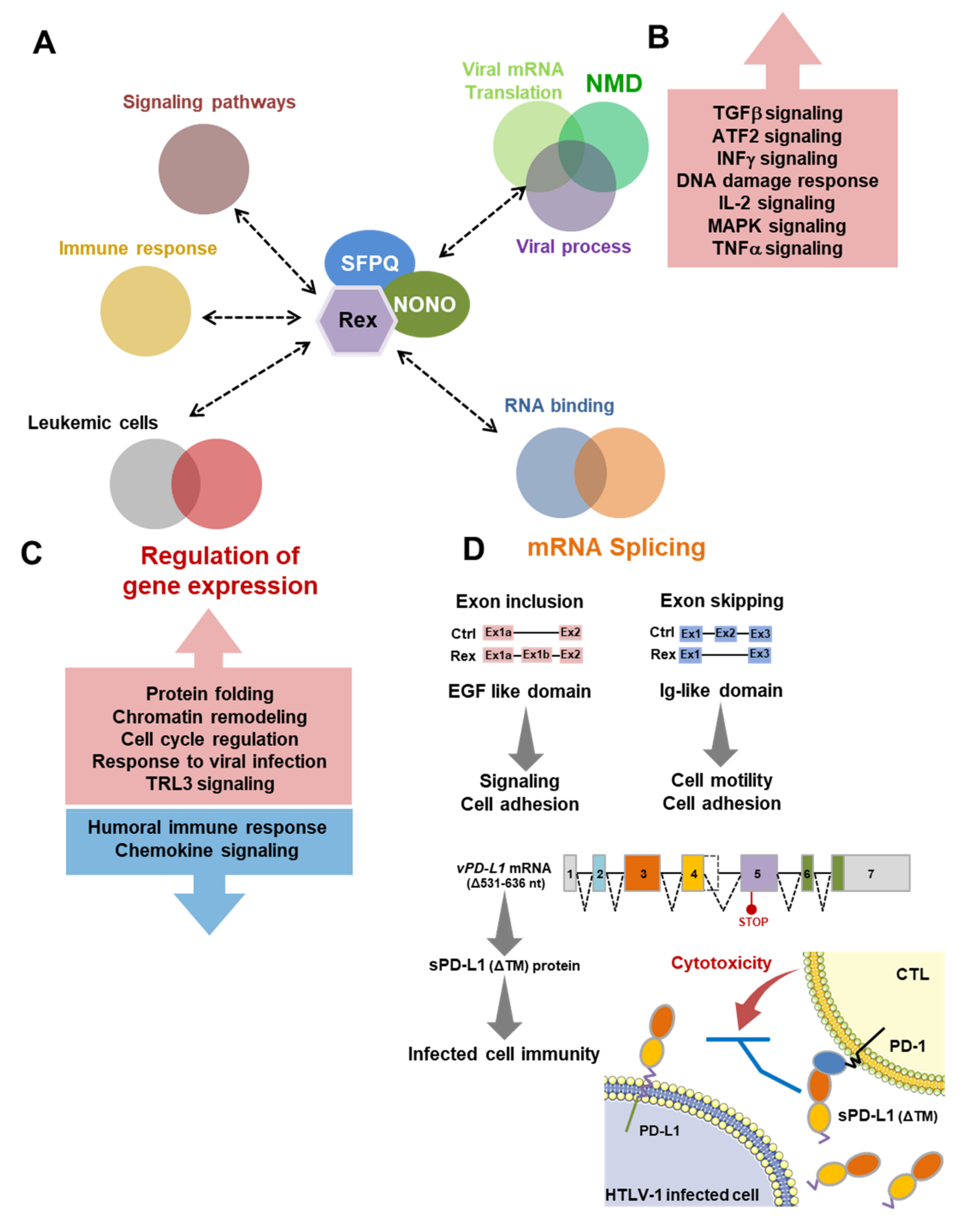 Viruses 14 00407 g006