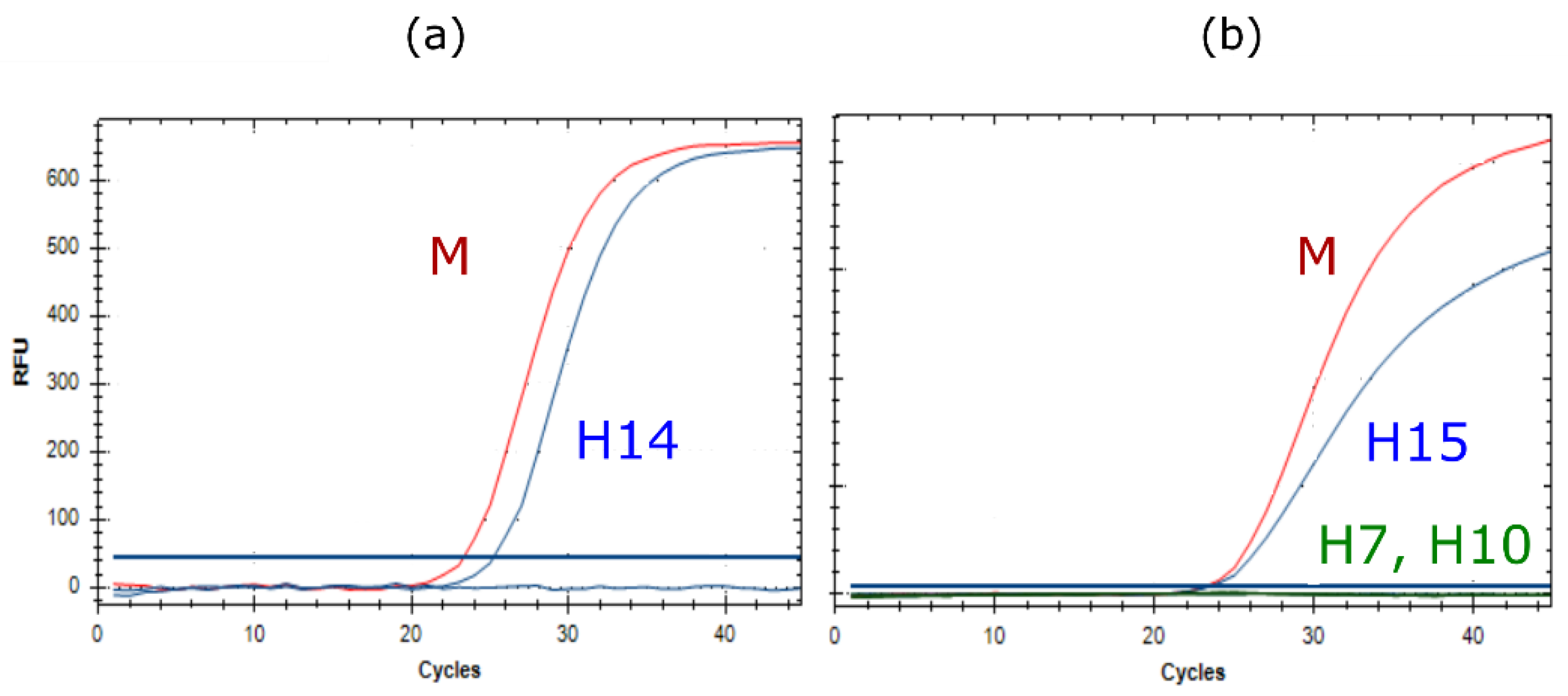Viruses 14 00415 g002