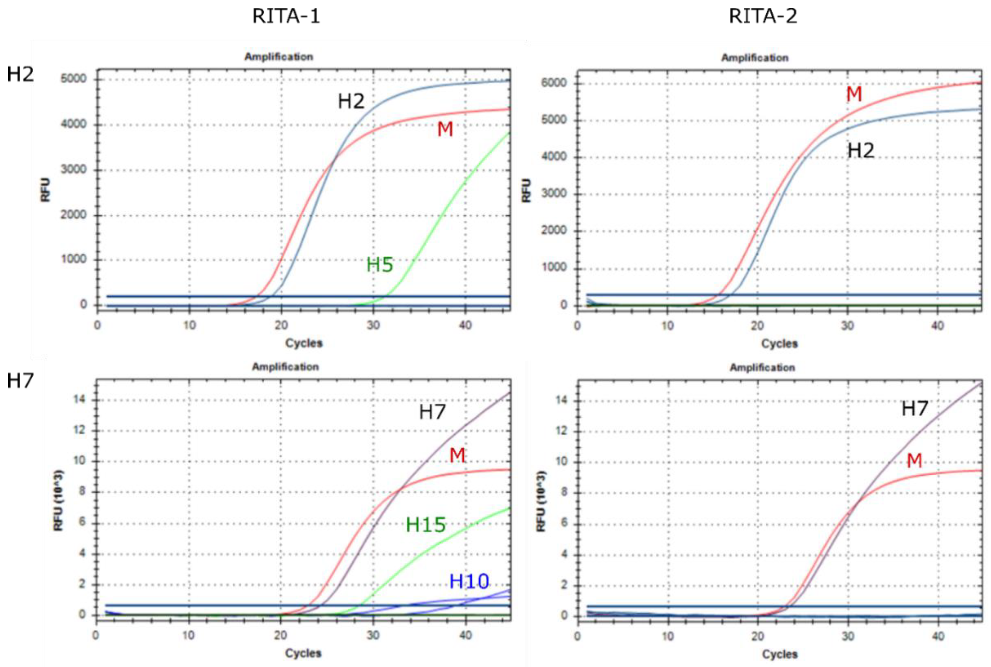 Viruses 14 00415 g007