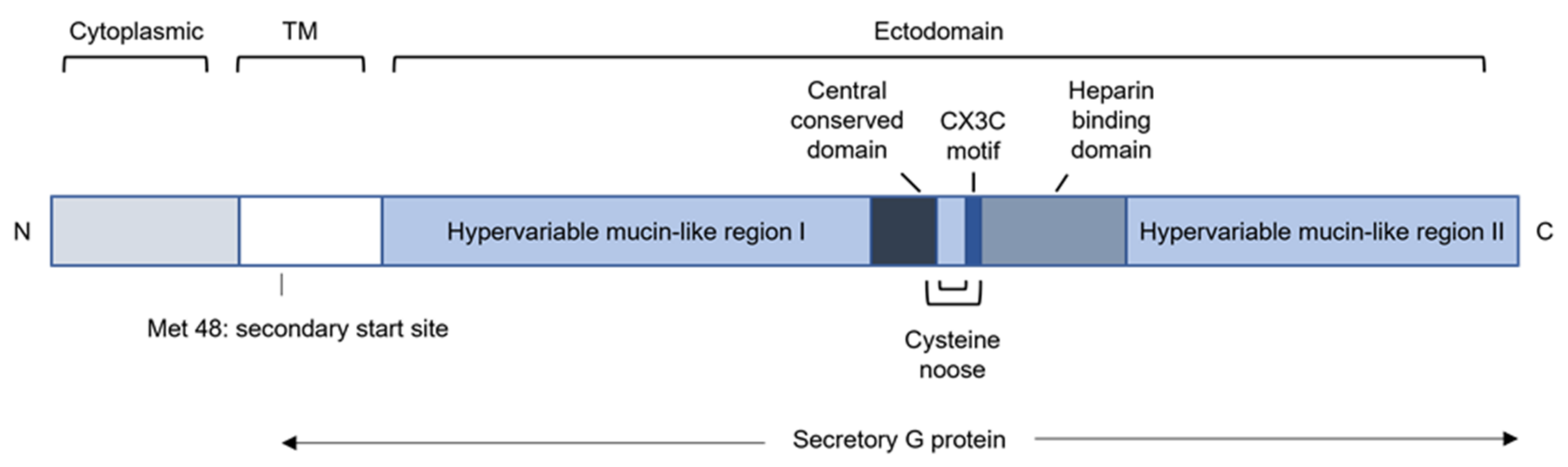 Viruses 14 00419 g007
