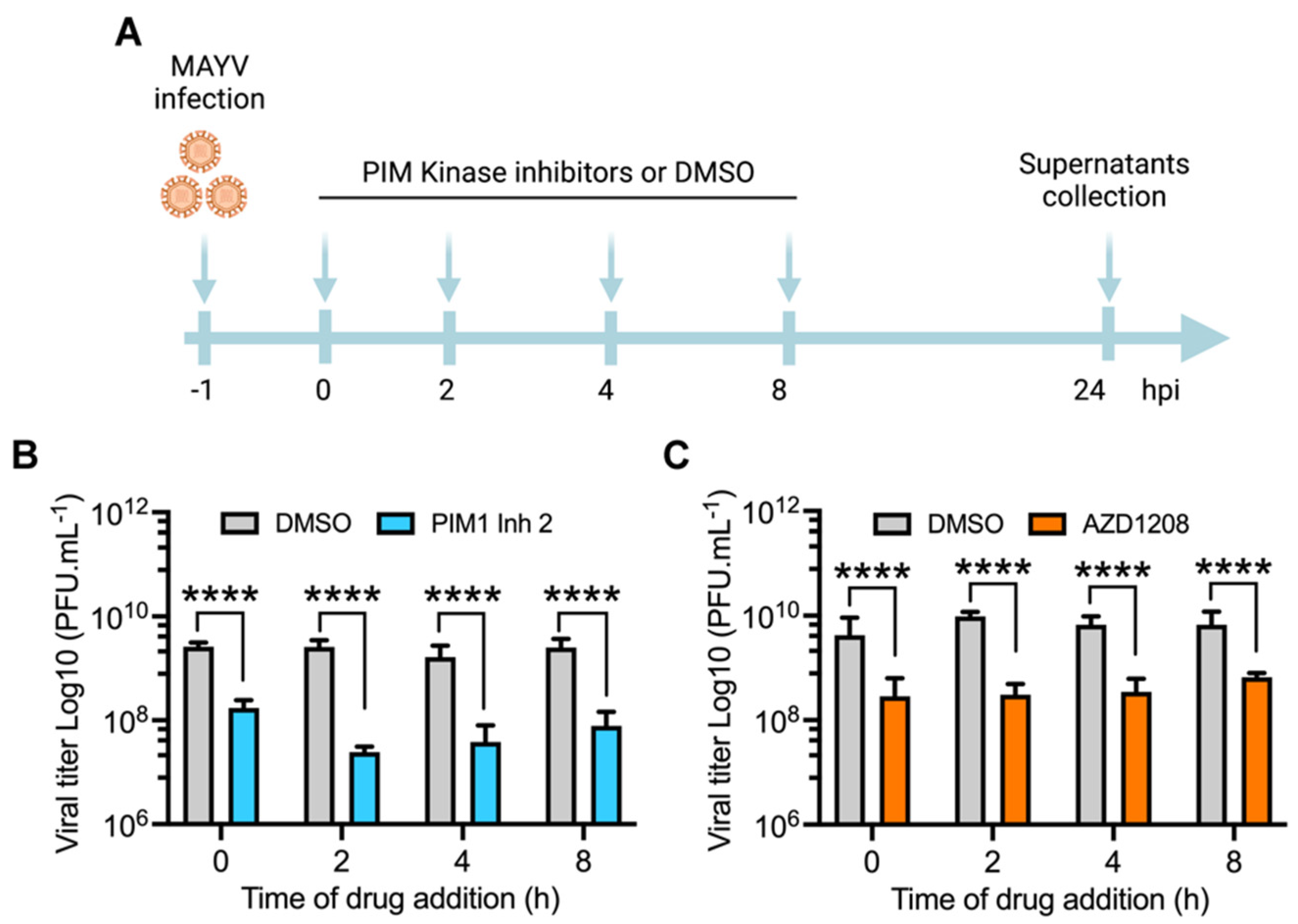 Viruses 14 00422 g003