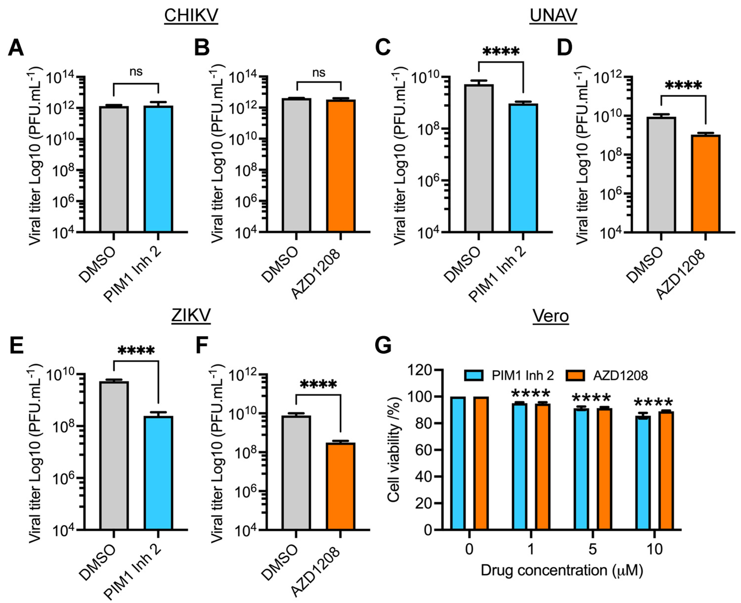 Viruses 14 00422 g005