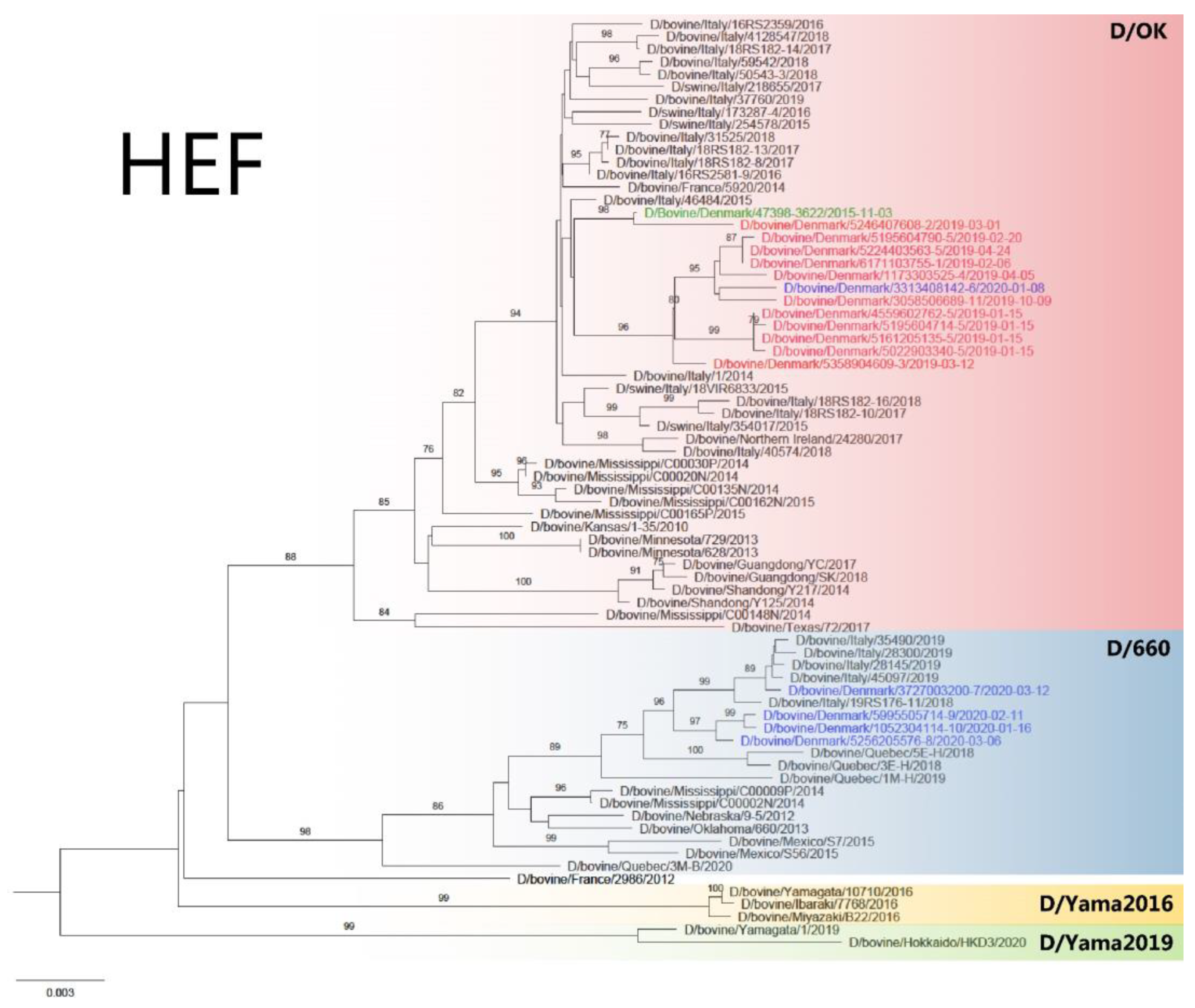 Viruses 14 00423 g001