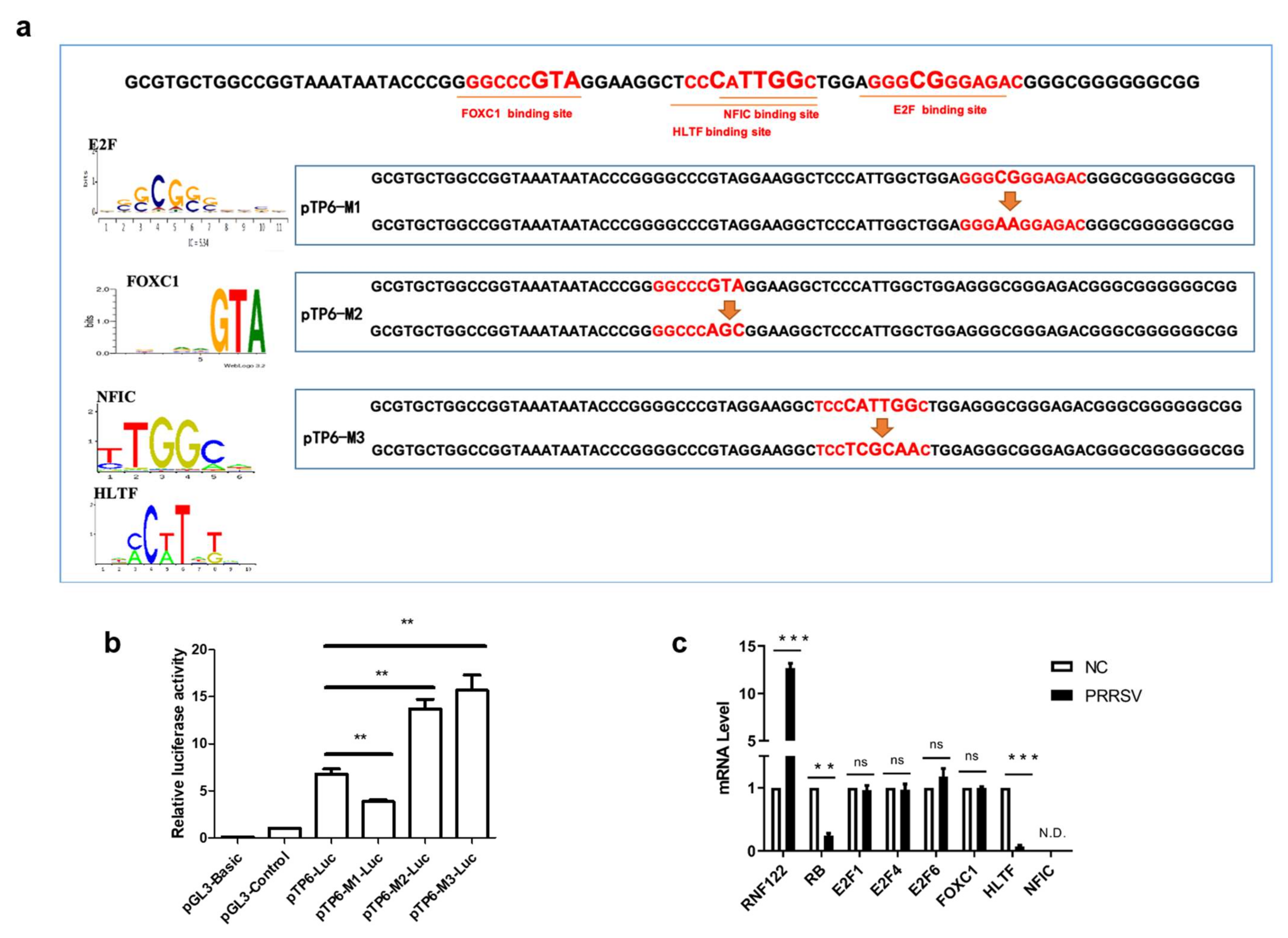 Viruses 14 00424 g003