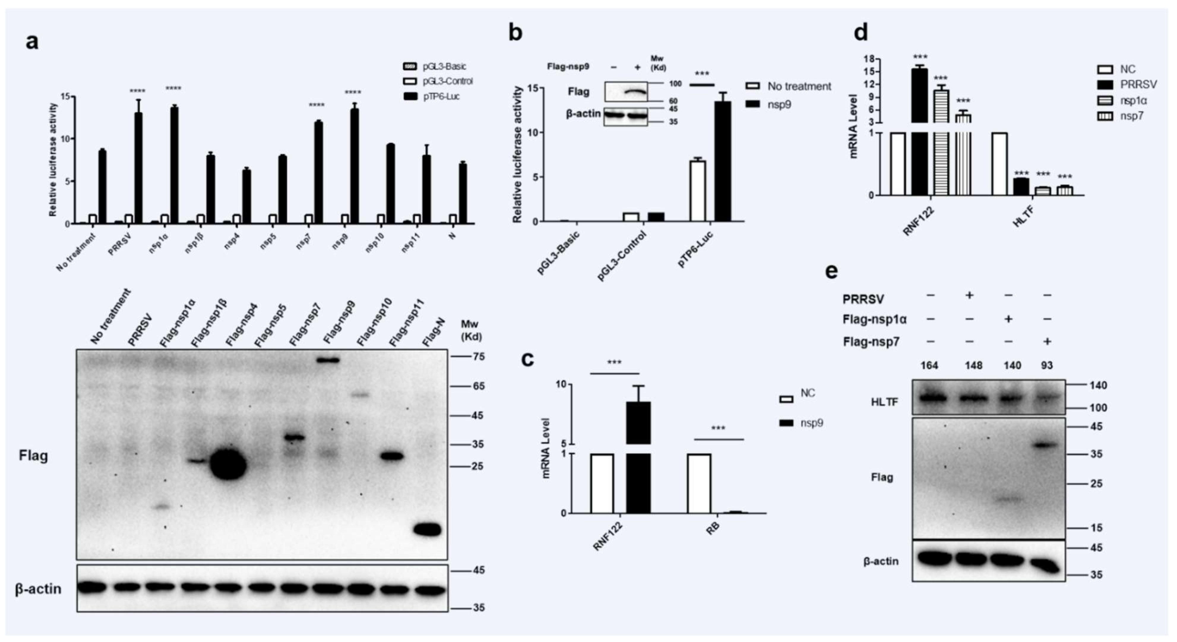 Viruses 14 00424 g004