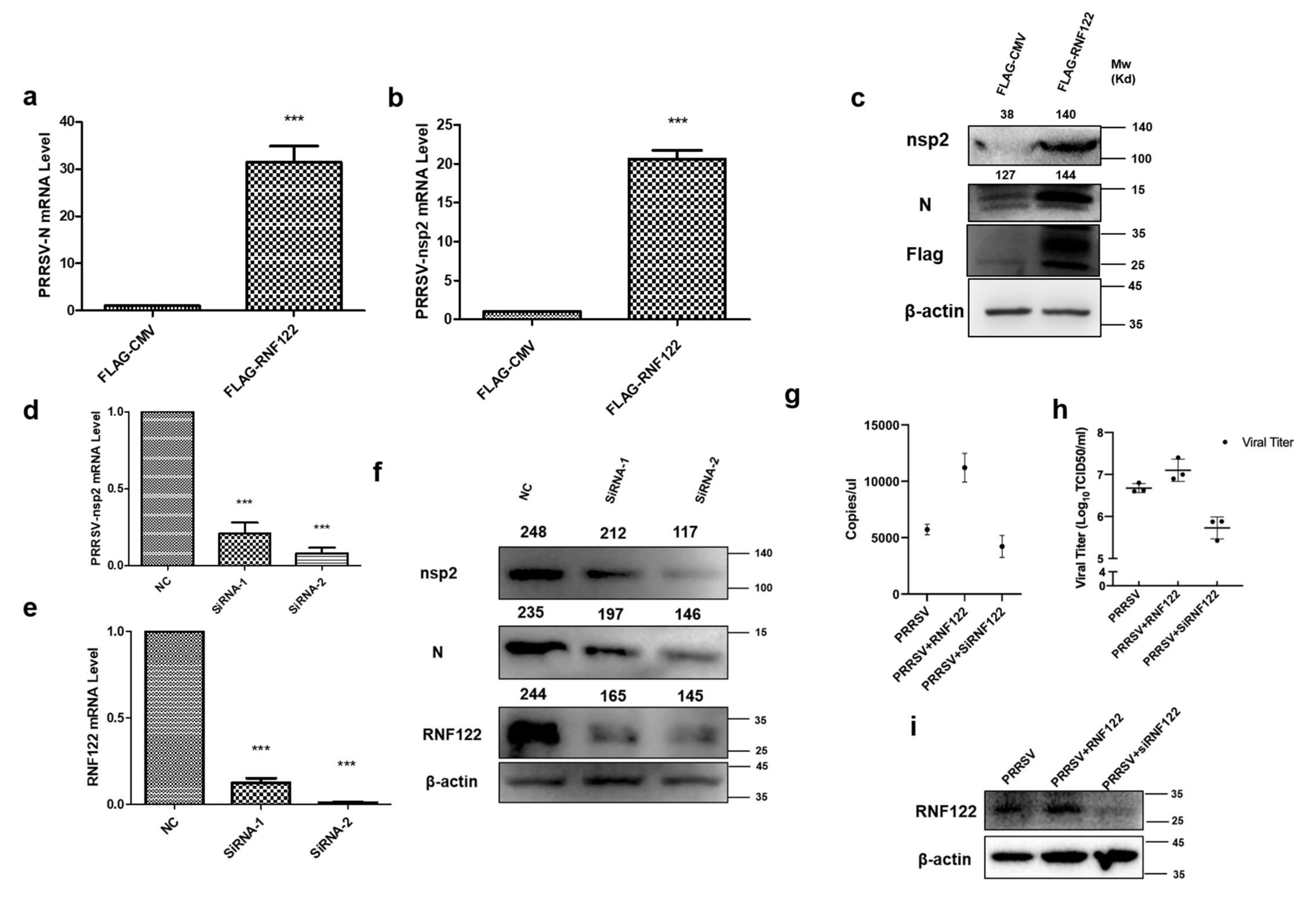 Viruses 14 00424 g005