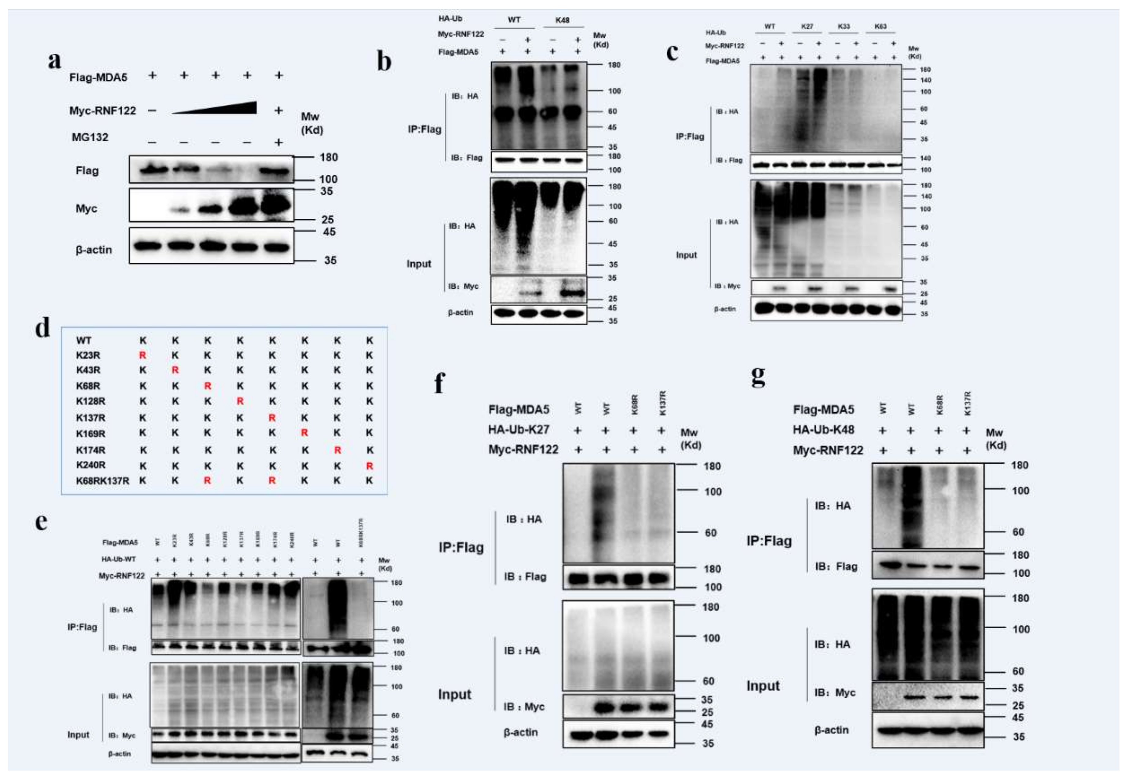 Viruses 14 00424 g010
