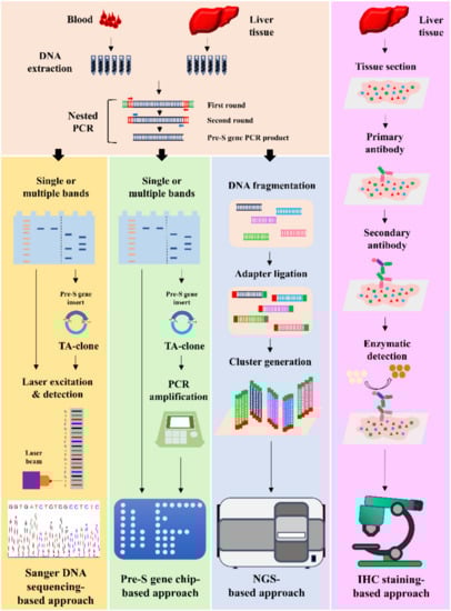 Viruses 14 00428 g001 550