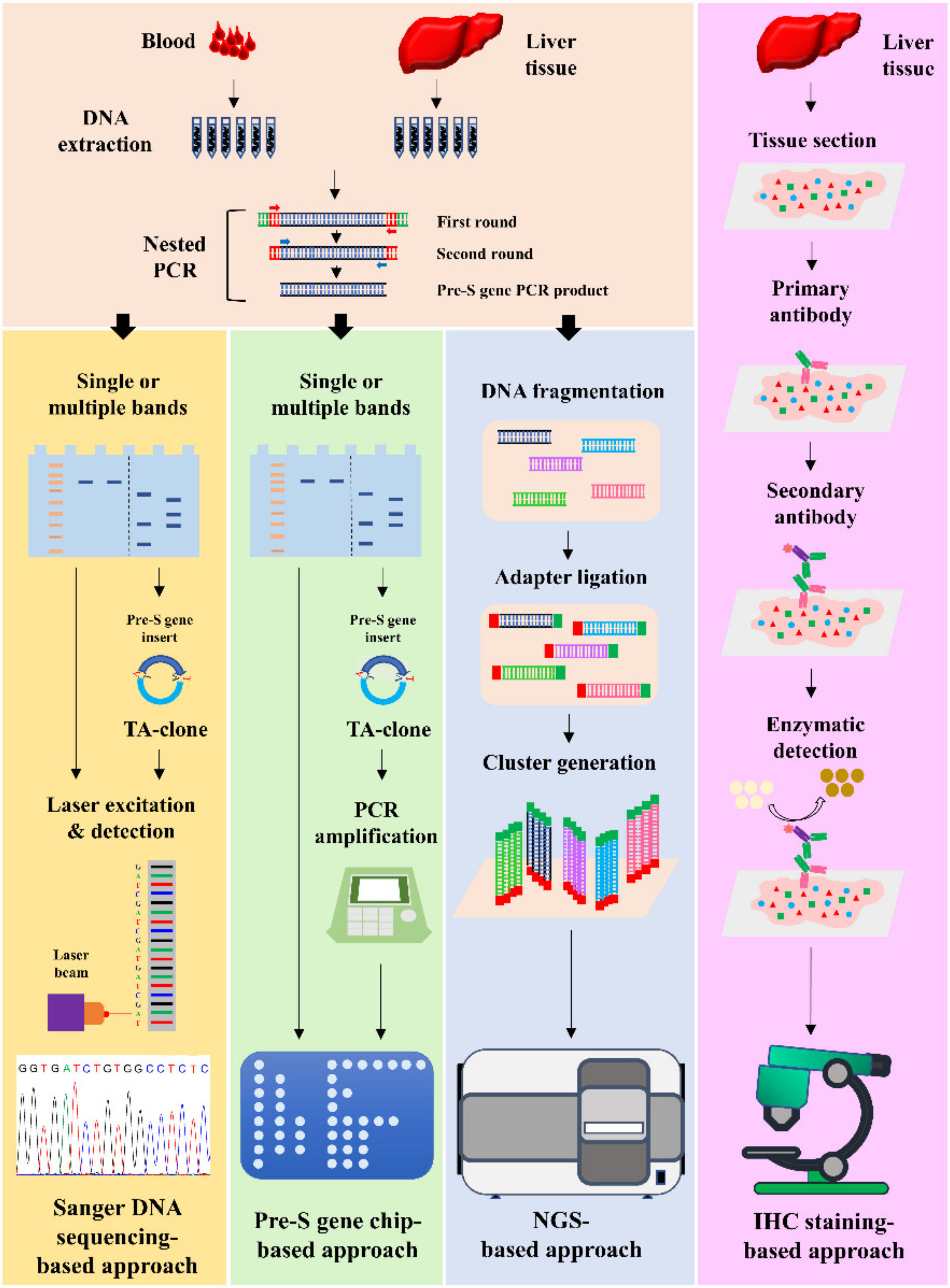 Viruses 14 00428 g001
