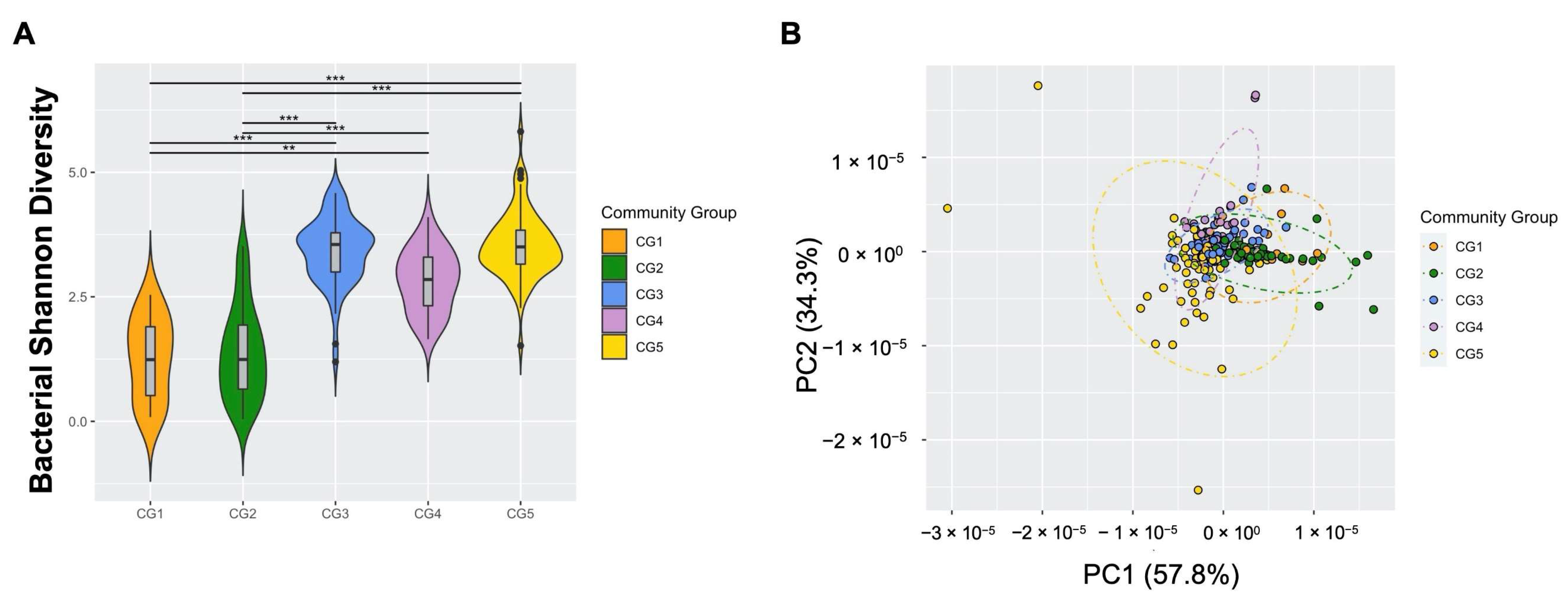 Viruses 14 00430 g002