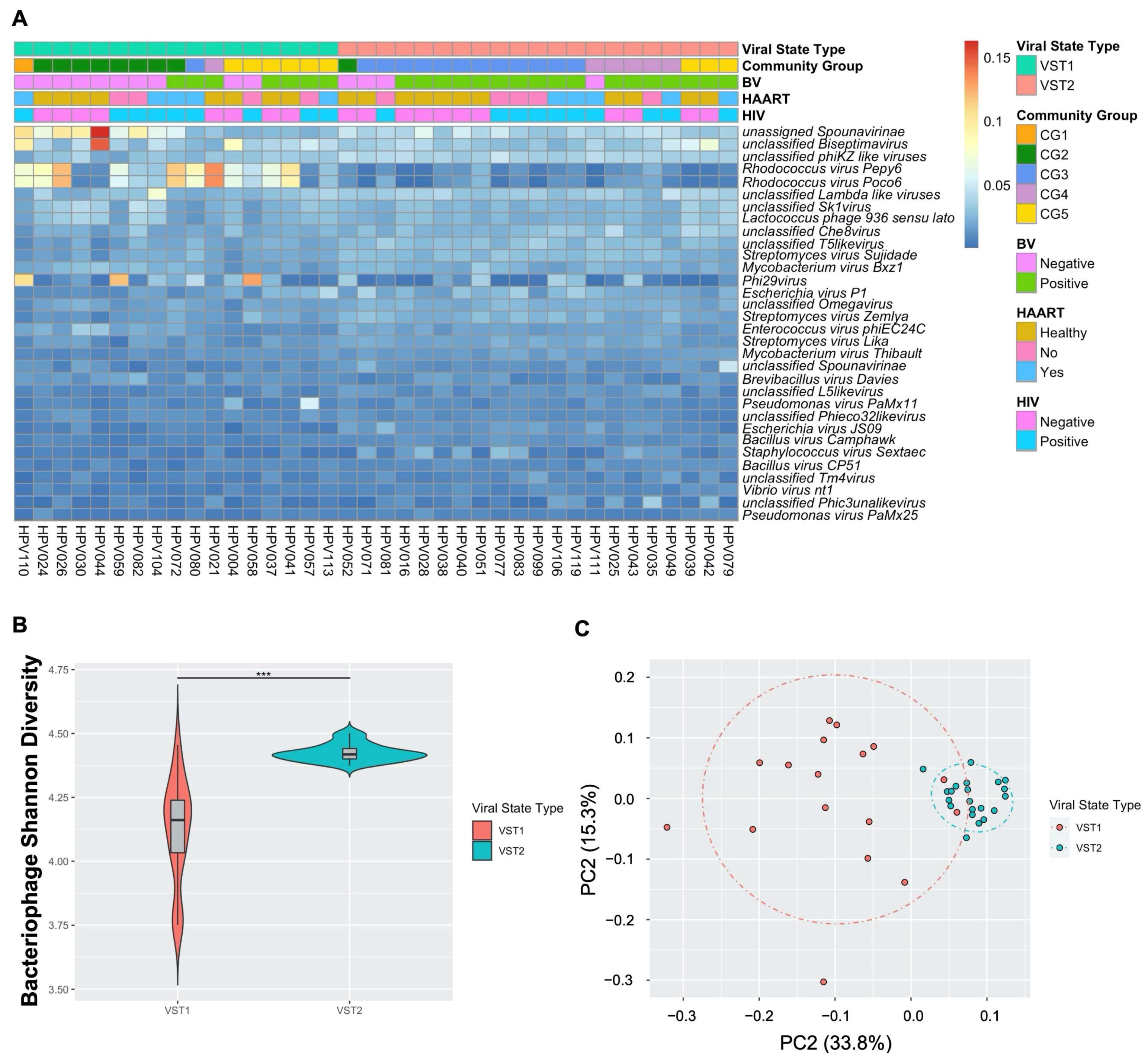 Viruses 14 00430 g003
