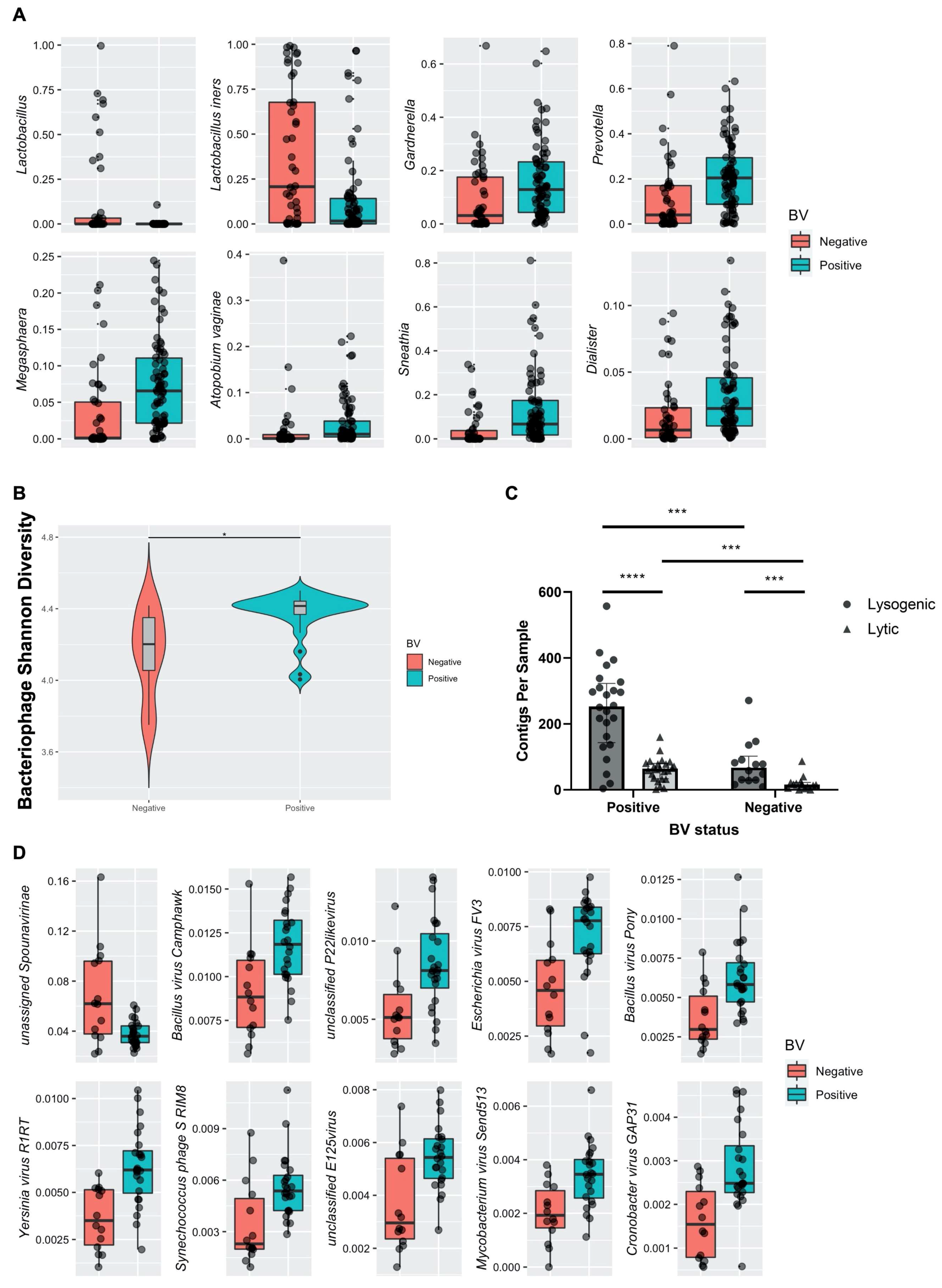 Viruses 14 00430 g005