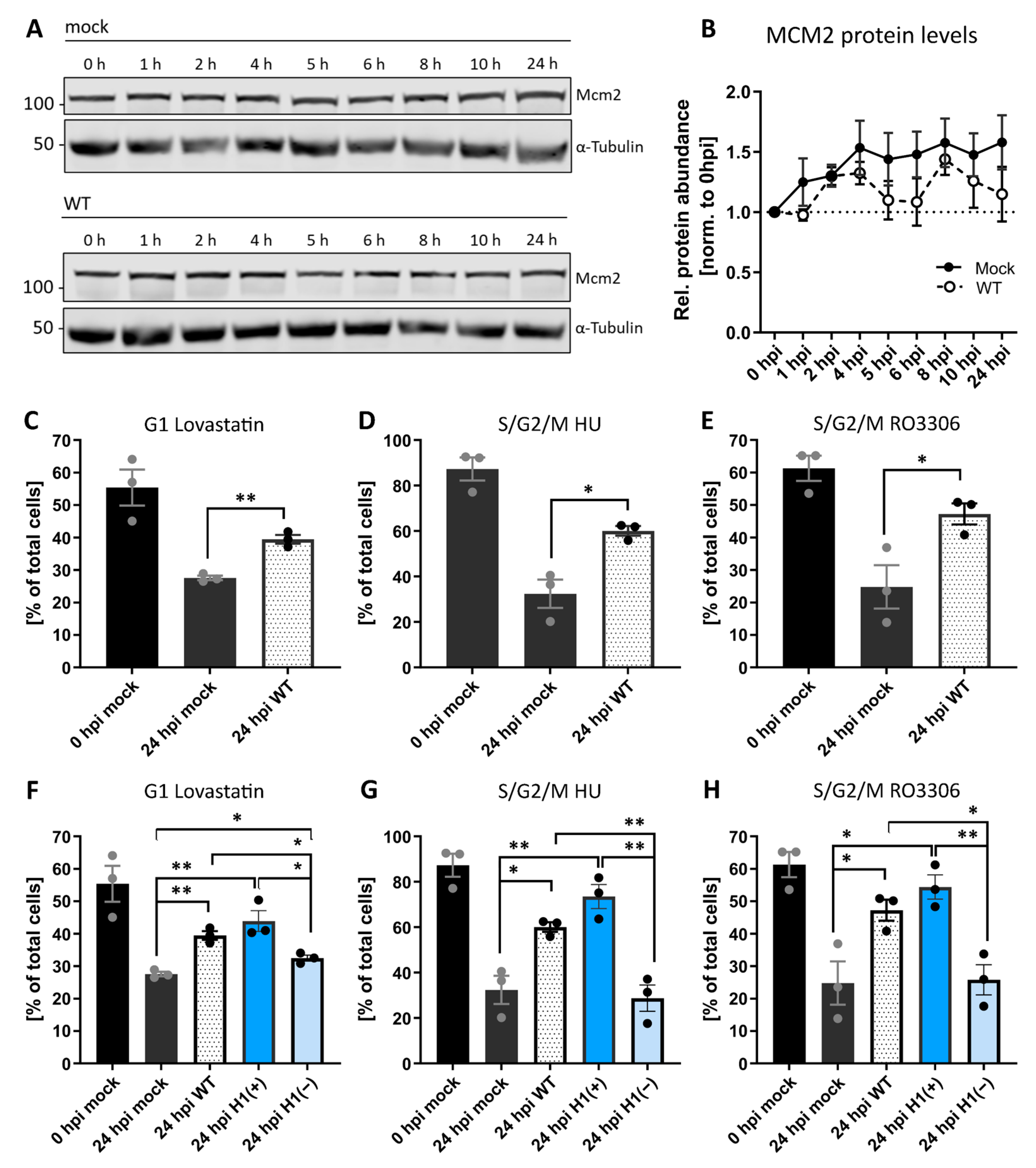 Viruses 14 00431 g002