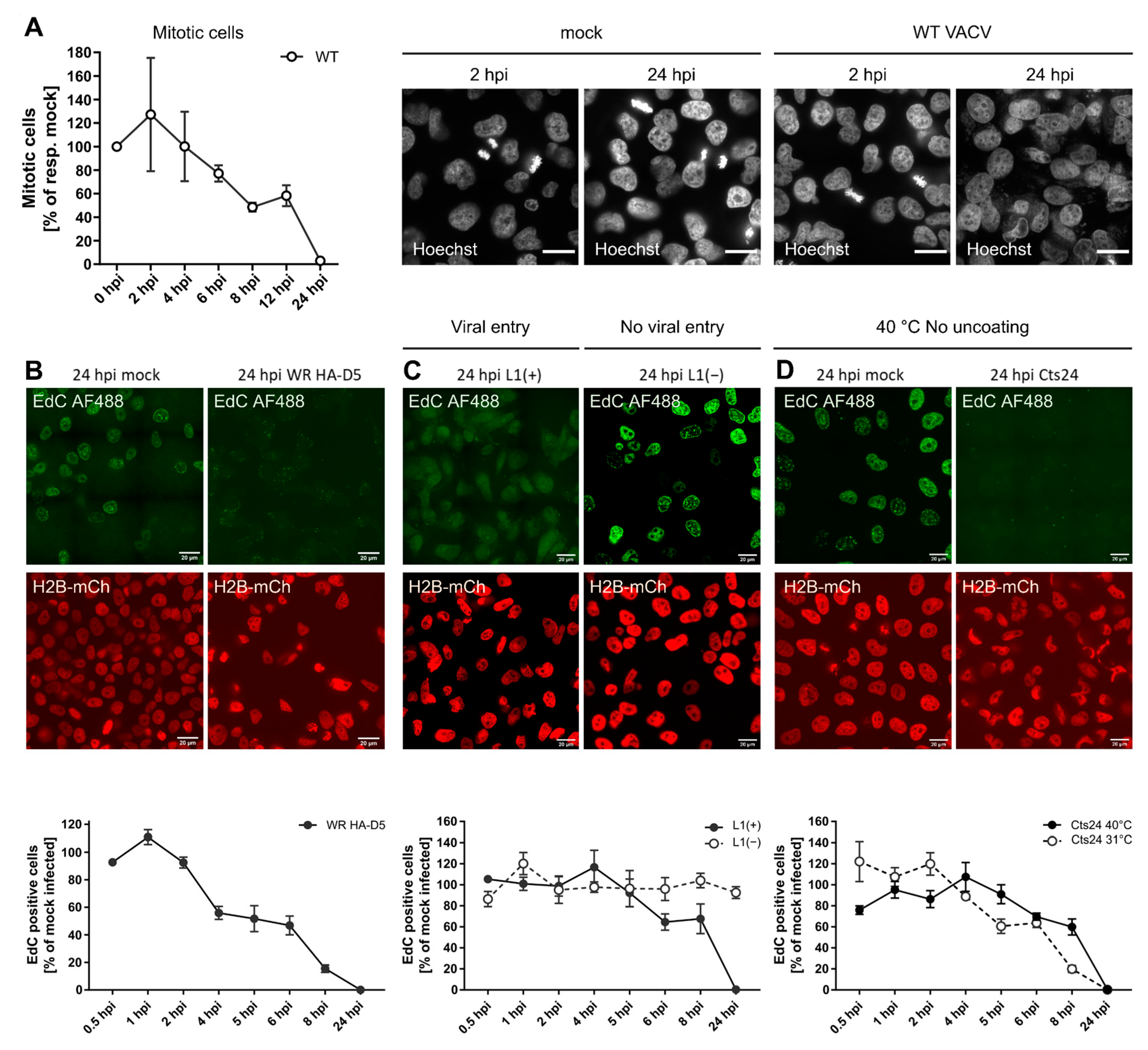 Viruses 14 00431 g003