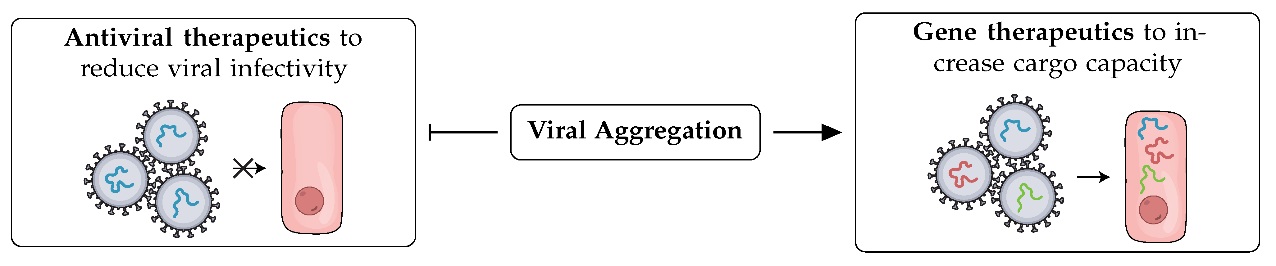 Viruses 14 00438 g003 Viruses 14 00438 g003