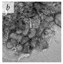 Viruses 14 00438 i011 Viruses 14 00438 i011