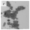 Viruses 14 00438 i014 Viruses 14 00438 i014