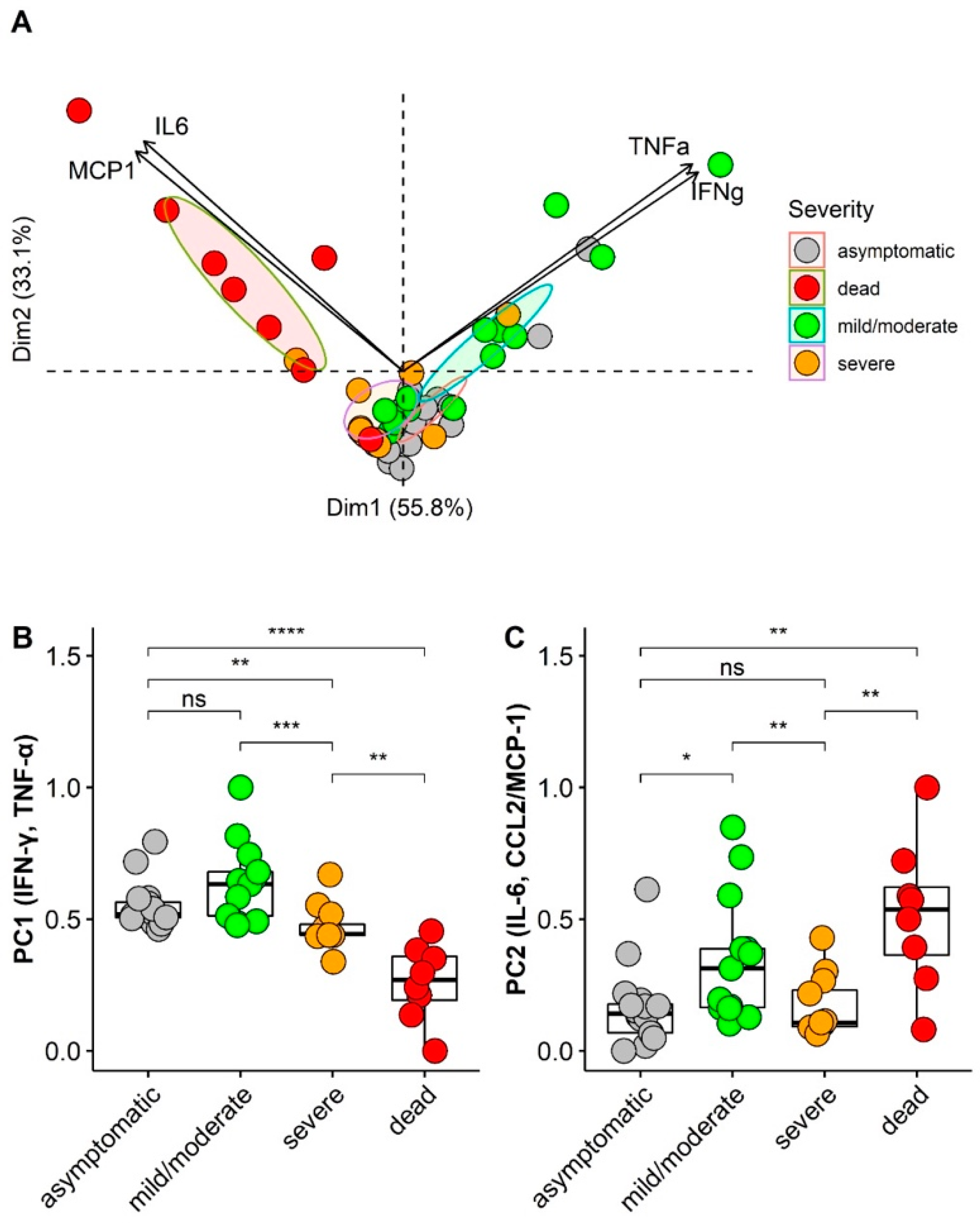 Viruses 14 00455 g004
