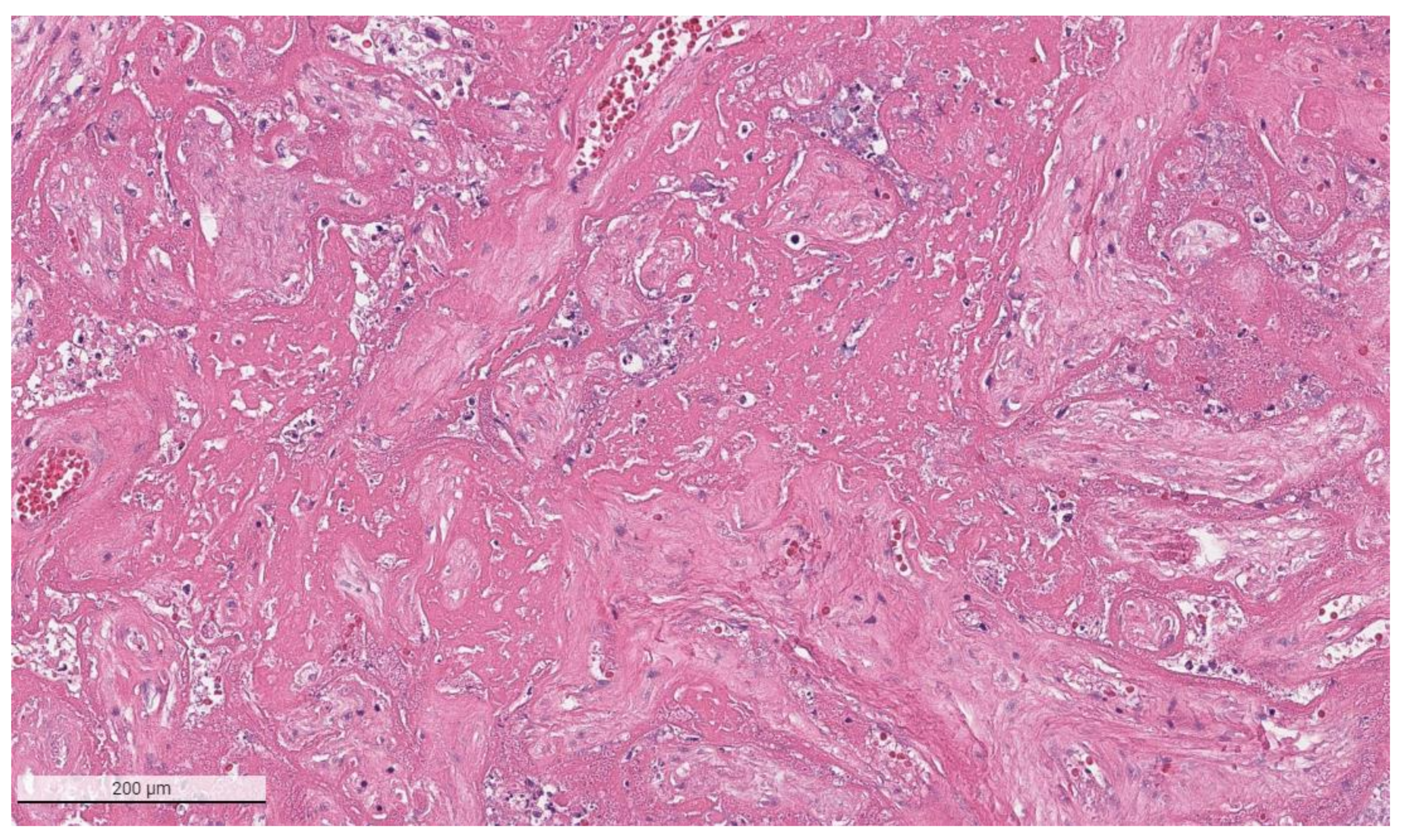 Viruses 14 00458 g003