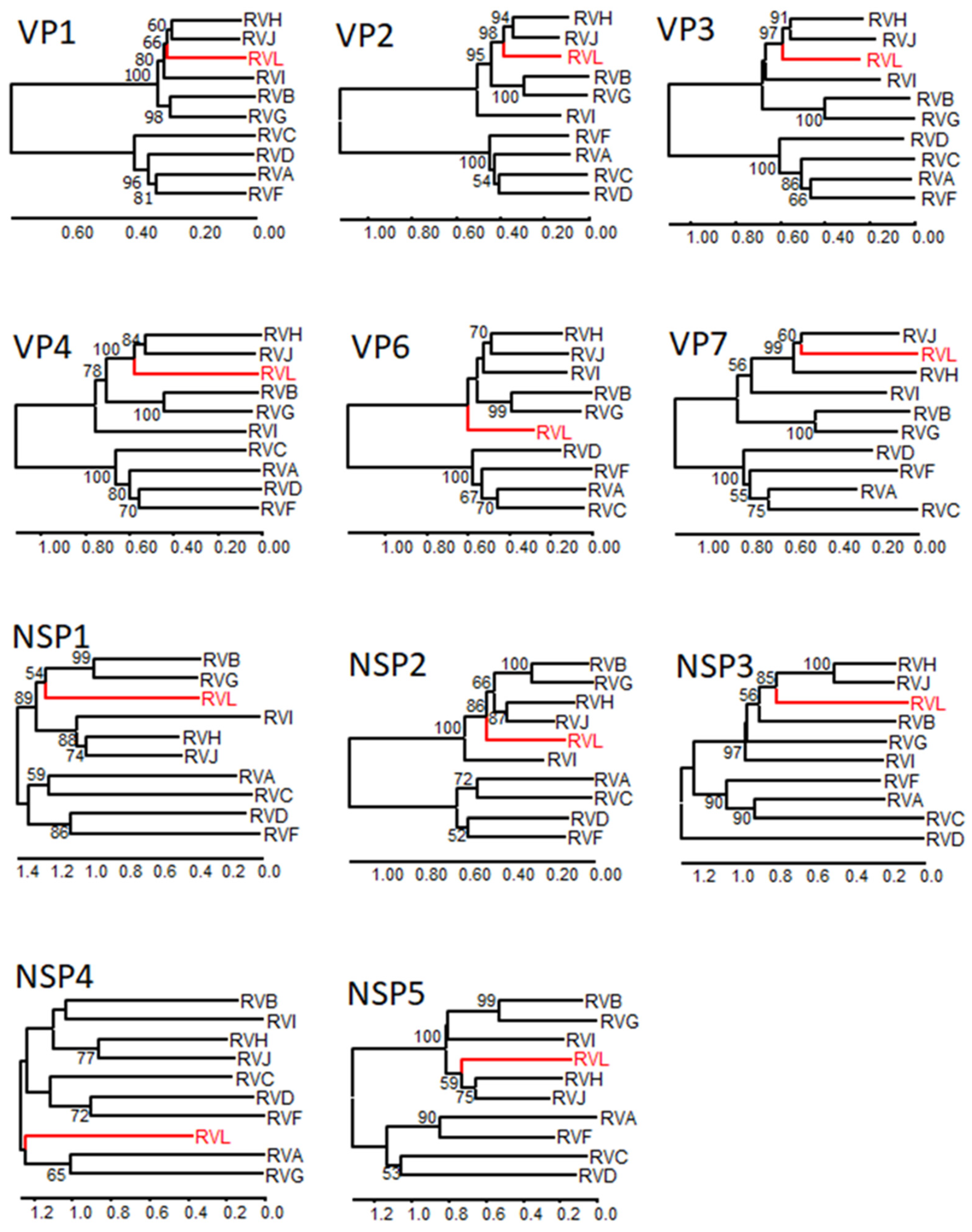Viruses 14 00462 g001 Viruses 14 00462 g001