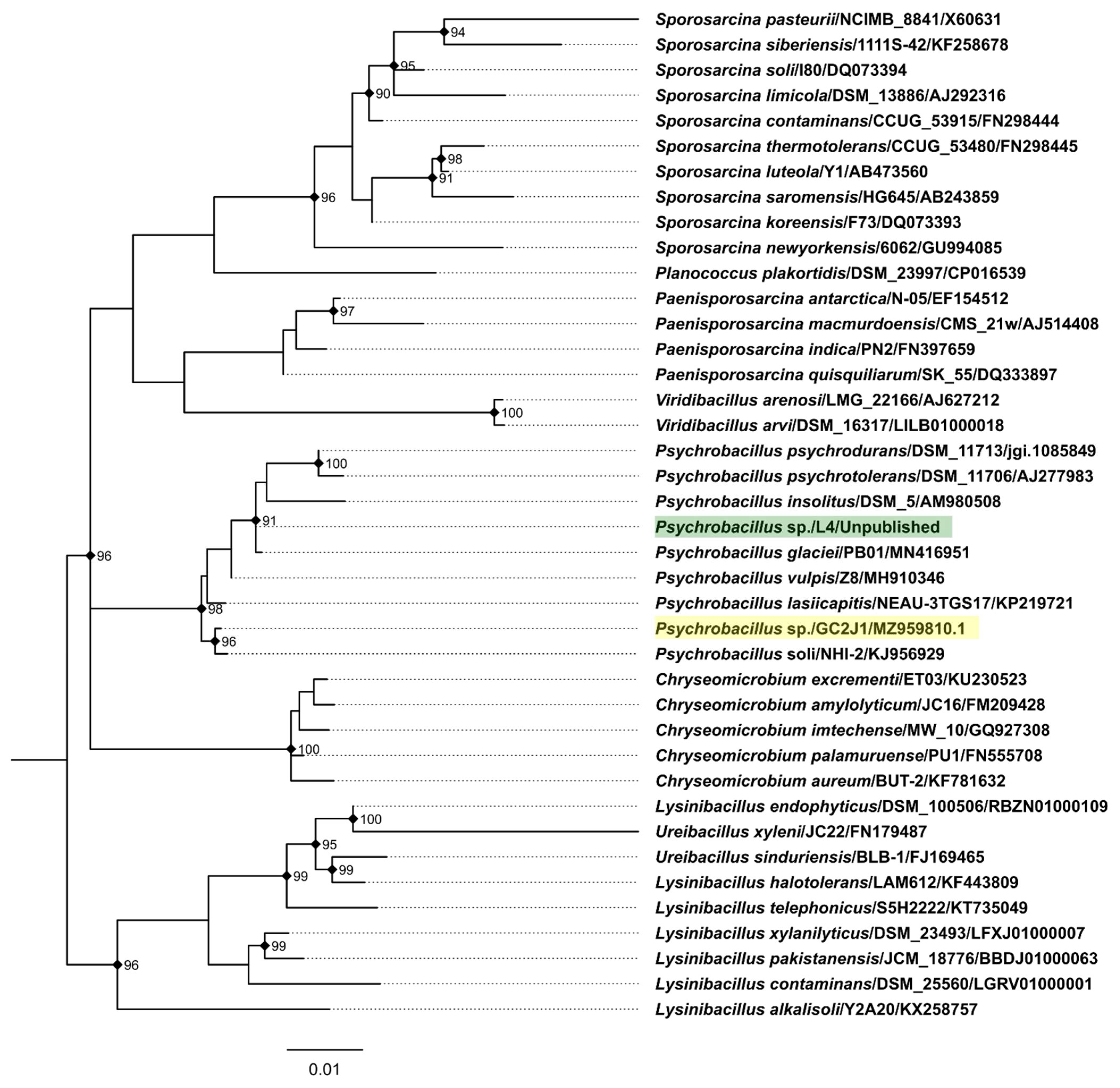 Viruses 14 00495 g001 Viruses 14 00495 g001