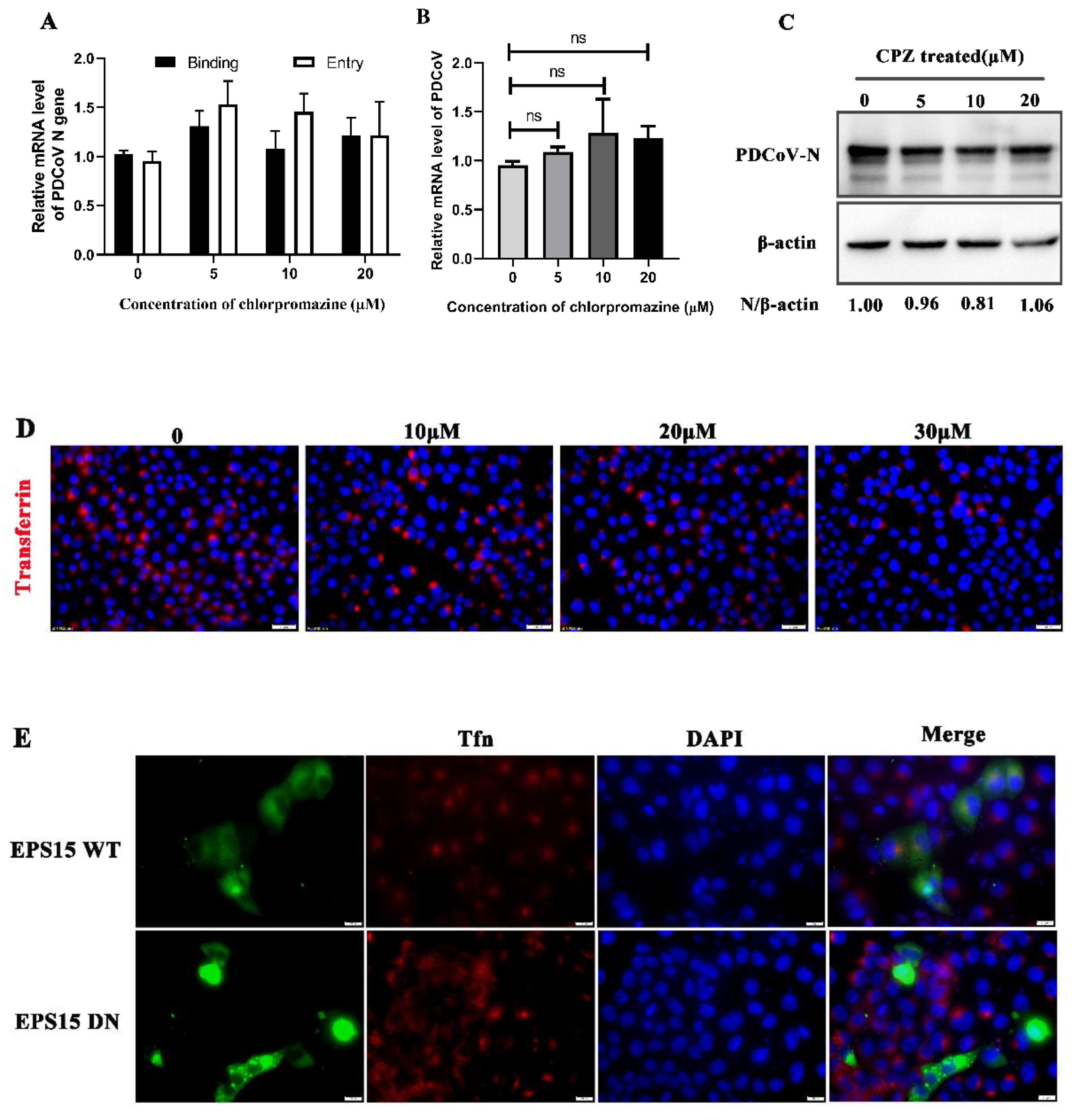 Viruses 14 00496 g001a