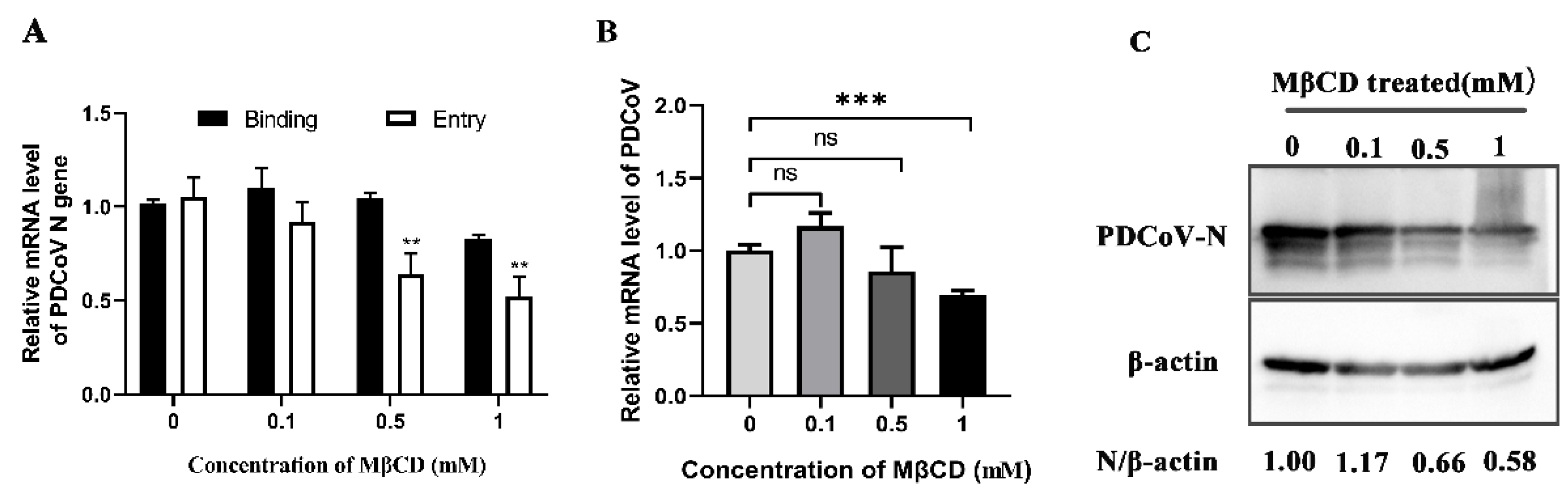 Viruses 14 00496 g003