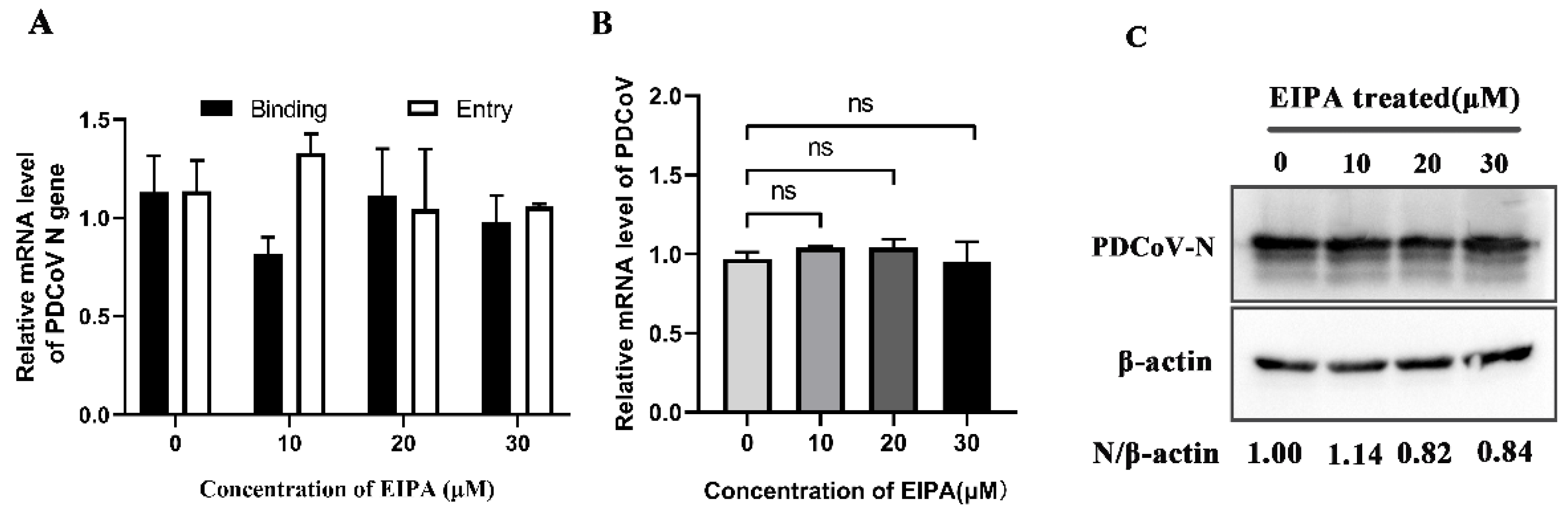 Viruses 14 00496 g005