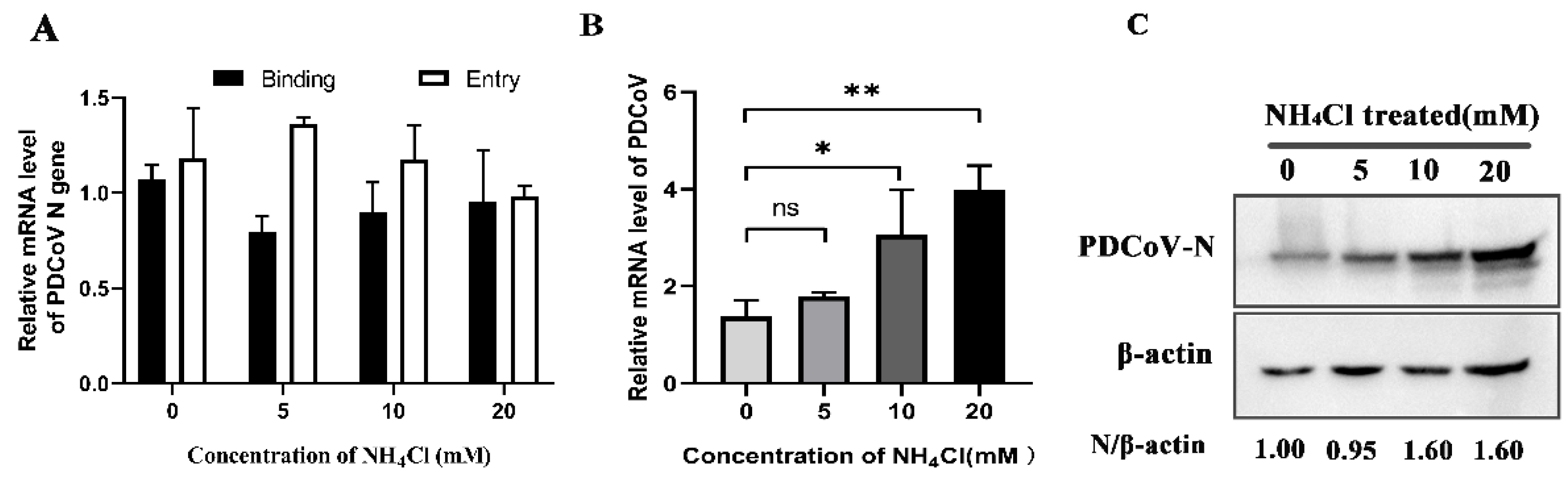 Viruses 14 00496 g006
