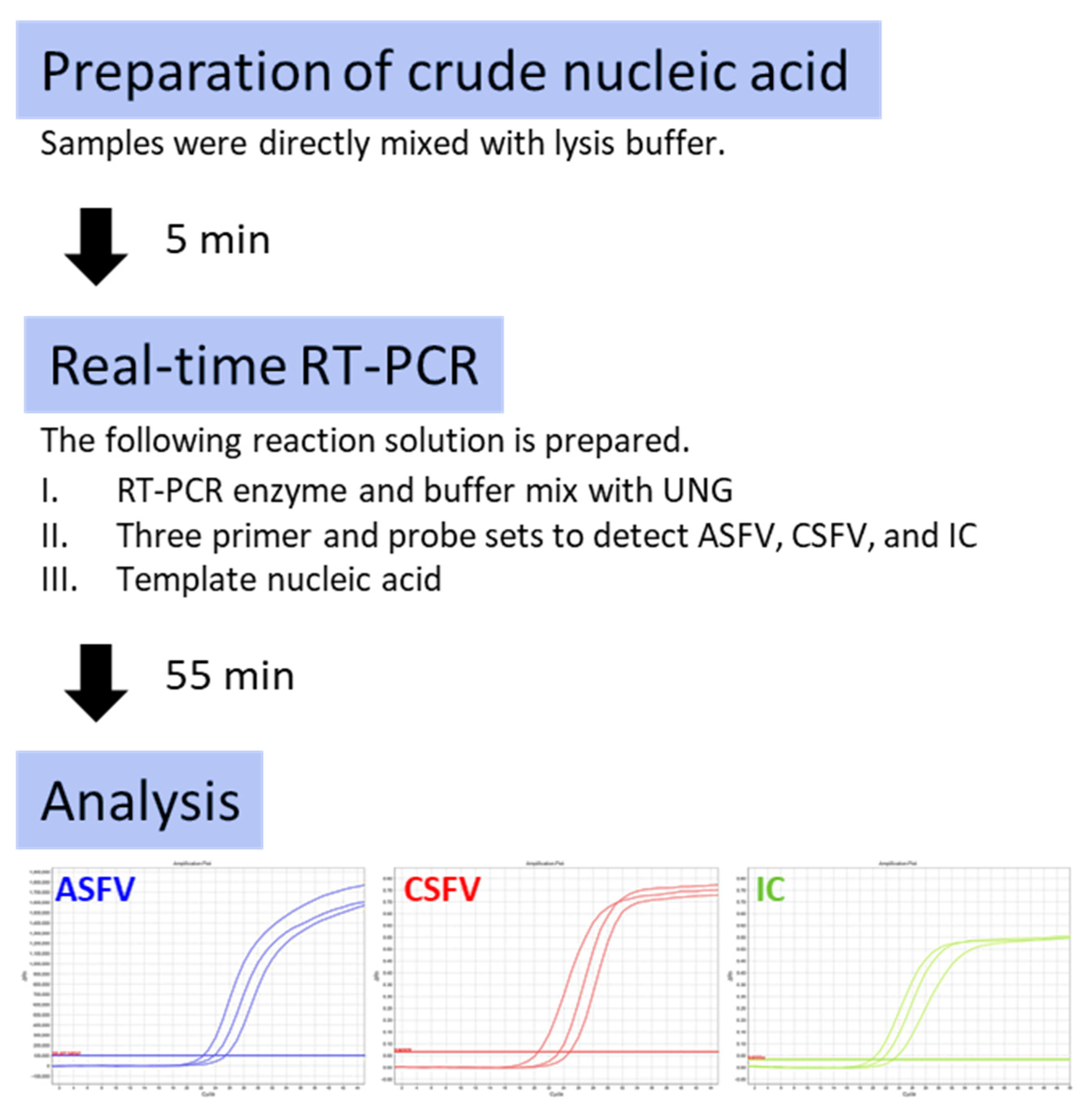 Viruses 14 00498 g003