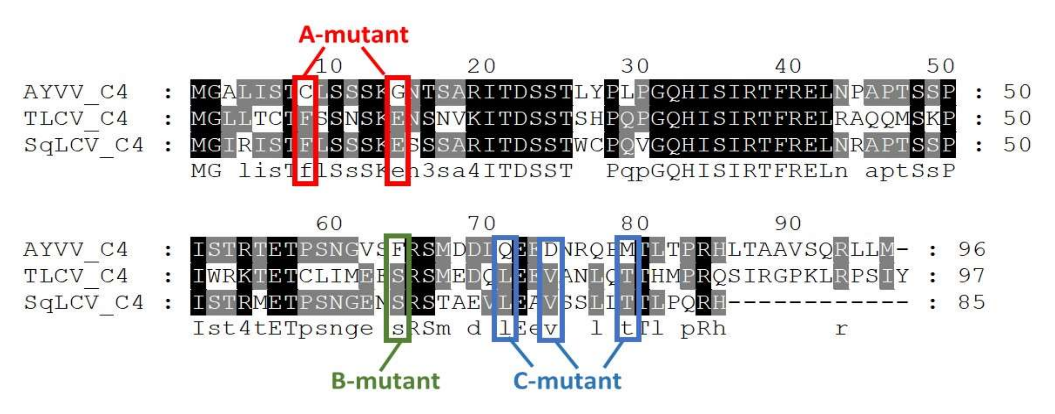 Viruses 14 00499 g004 Viruses 14 00499 g004
