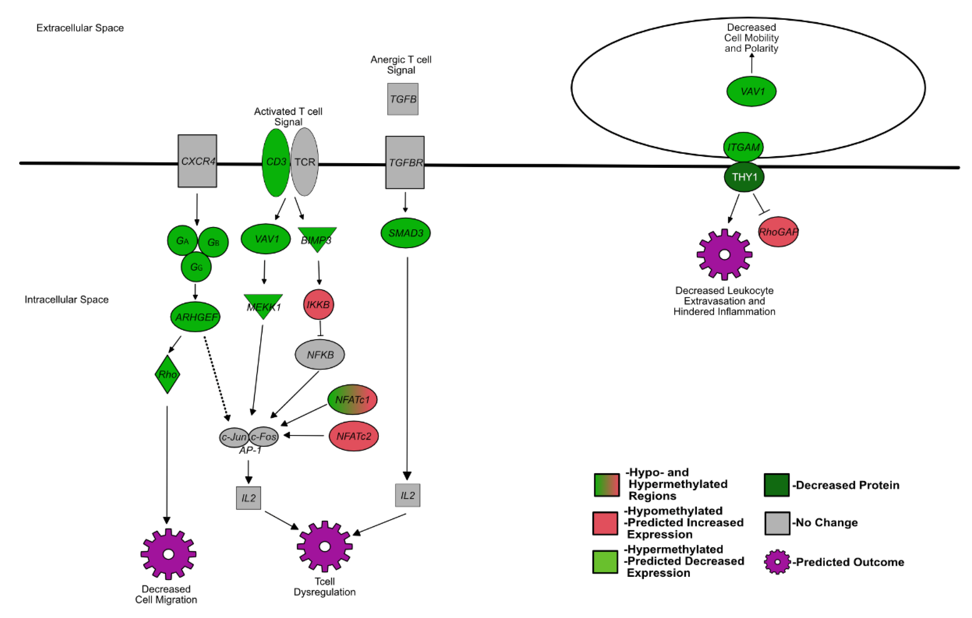 Viruses 14 00506 g001